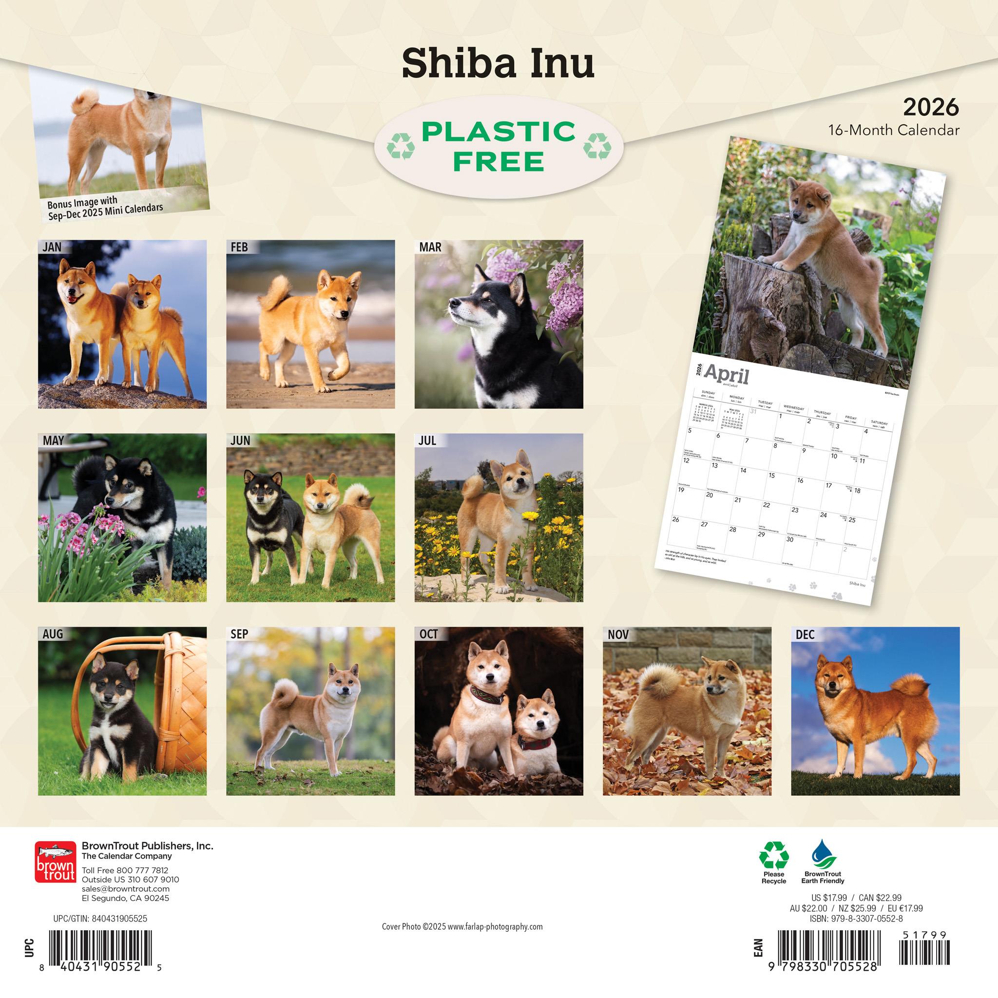 Shiba Inu 2026 Wall Calendar - Online Only
