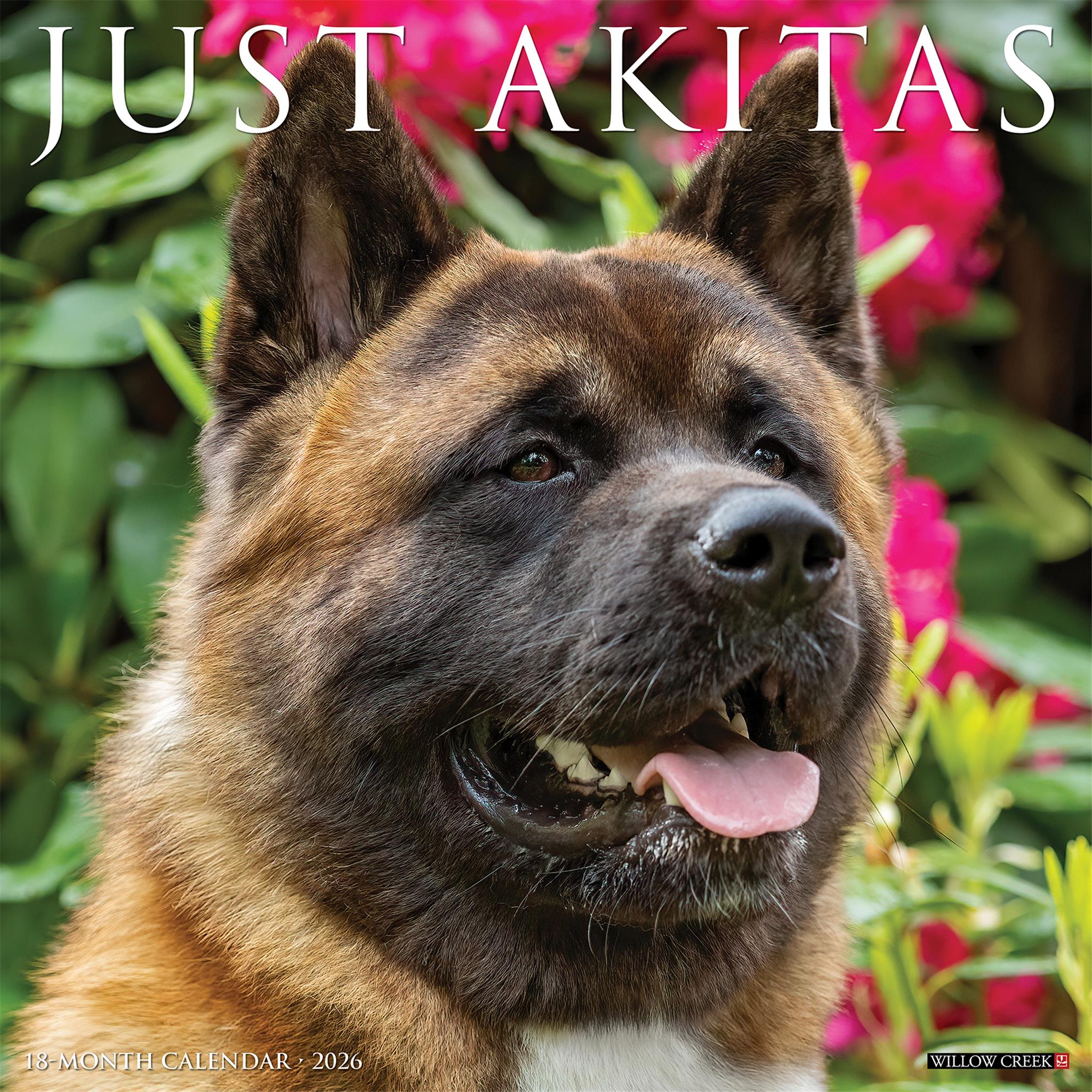 Just Akitas 2026 Wall Calendar - Online Only