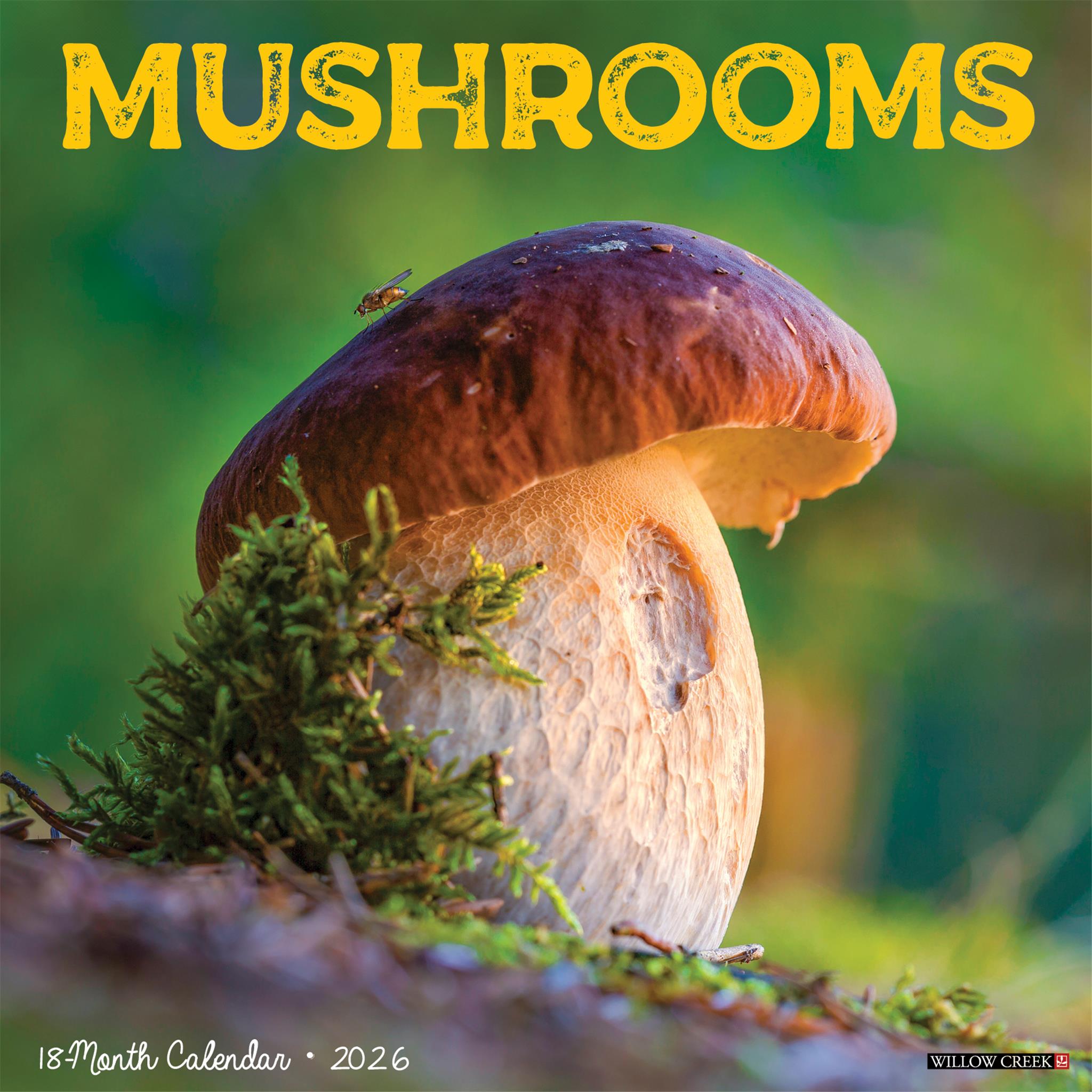 Mushroom The Art Of The 2026 Wall Calendar - Online Only