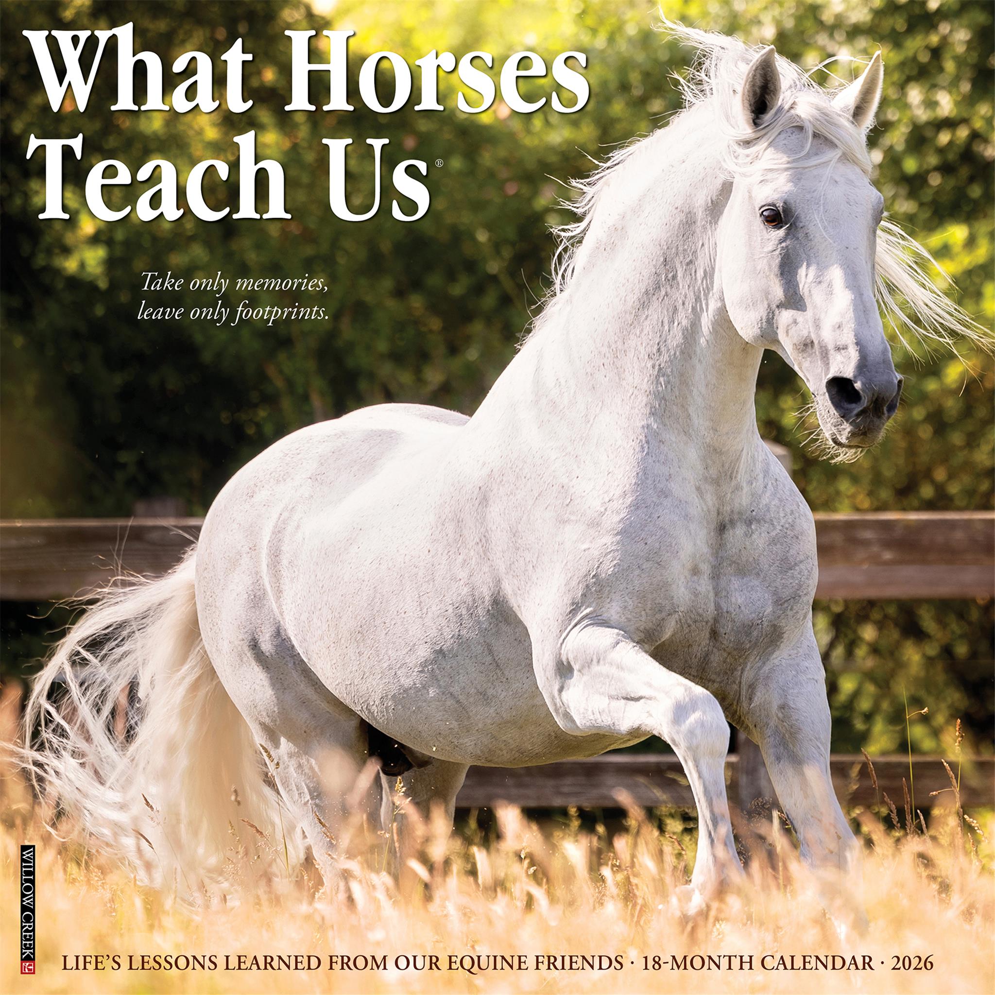 What Horses Teach Us 2026 Wall Calendar