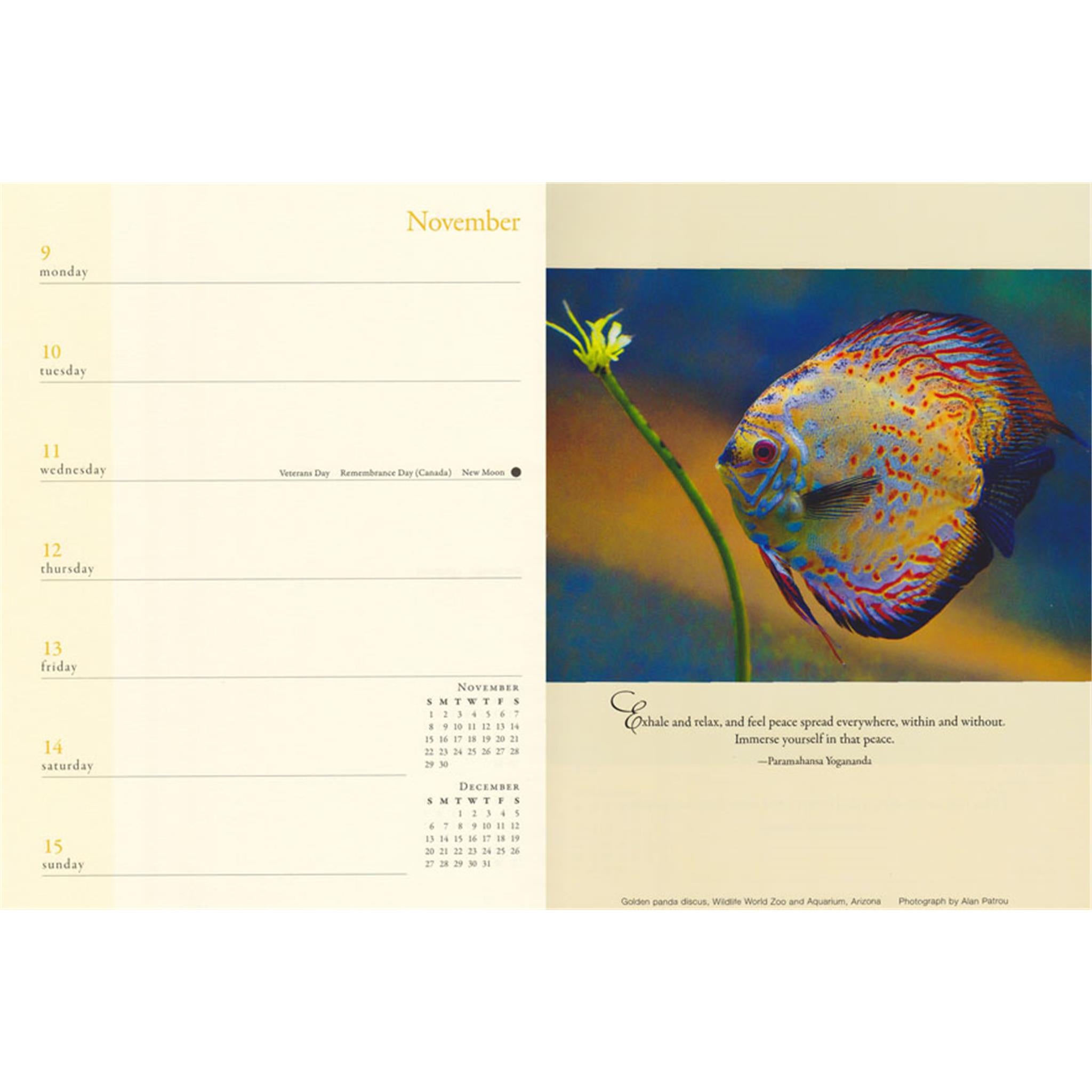 Inner Reflections 2026 Engagement Calendar