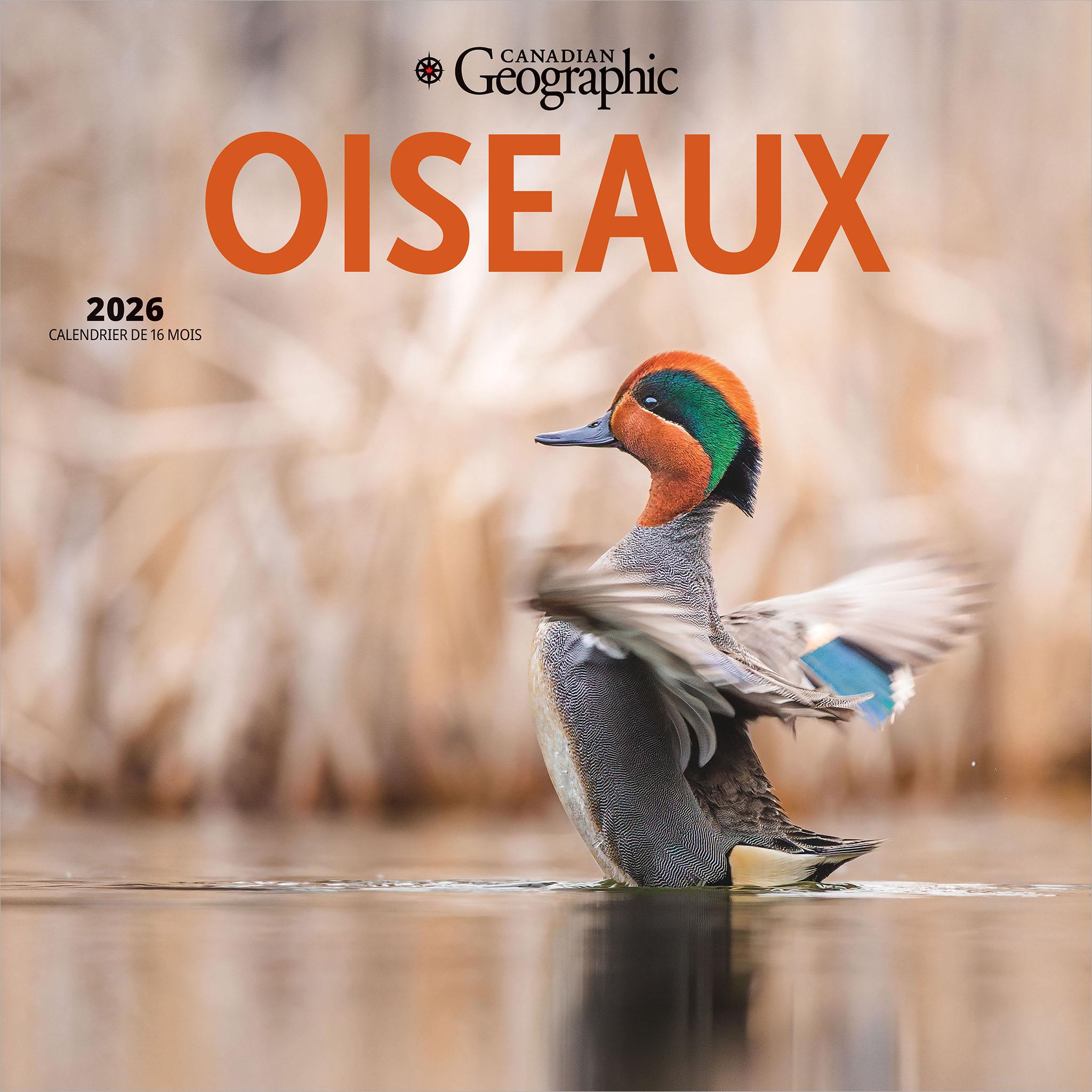 Canadian Geographic Oiseaux 2026 Wall Calendar (French)