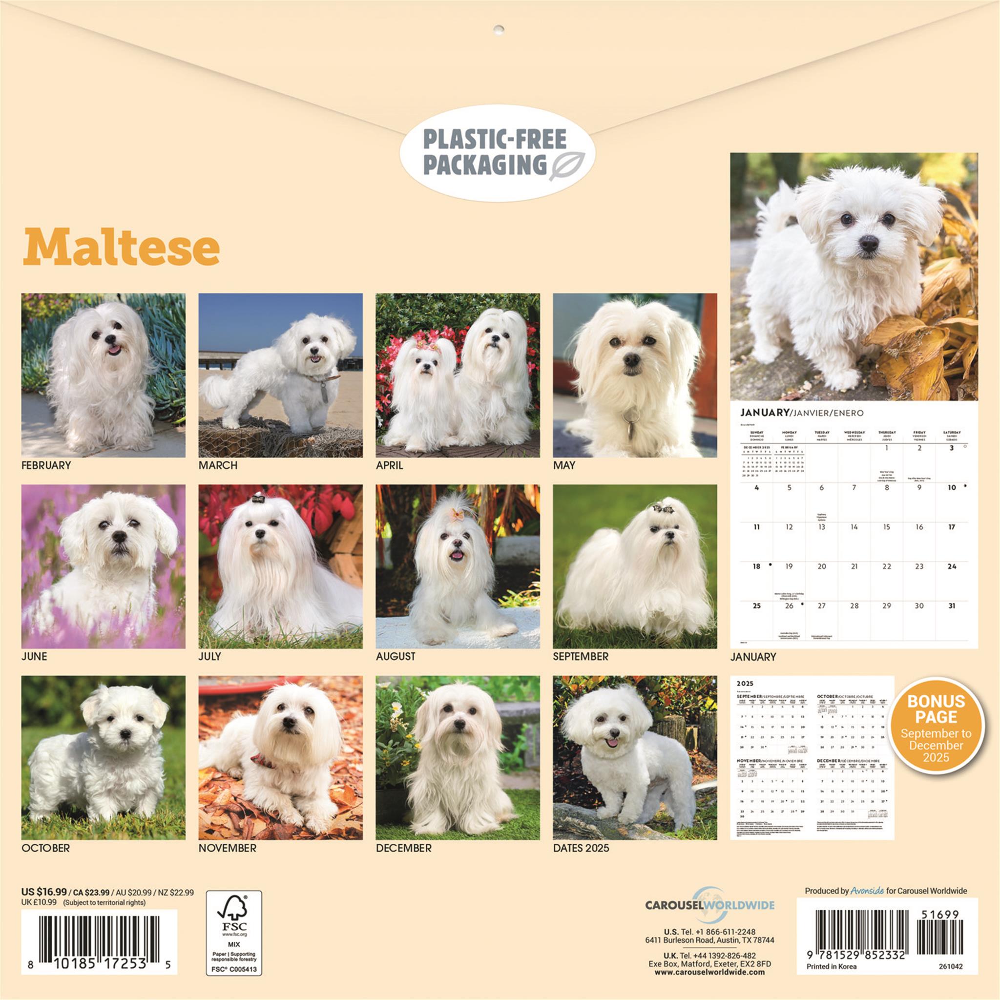Maltese 2026 Wall Calendar