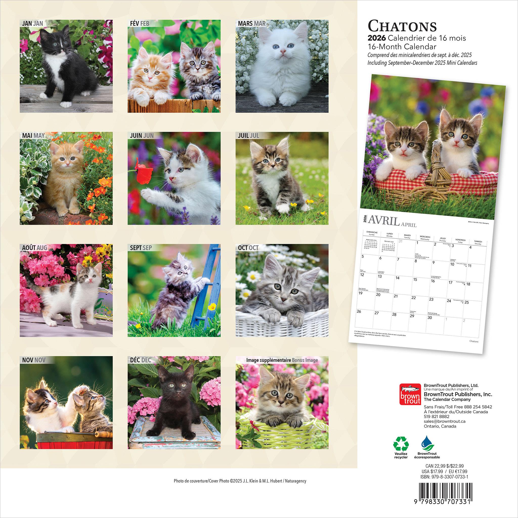 Chatons 2026 Wall Calendar (French)