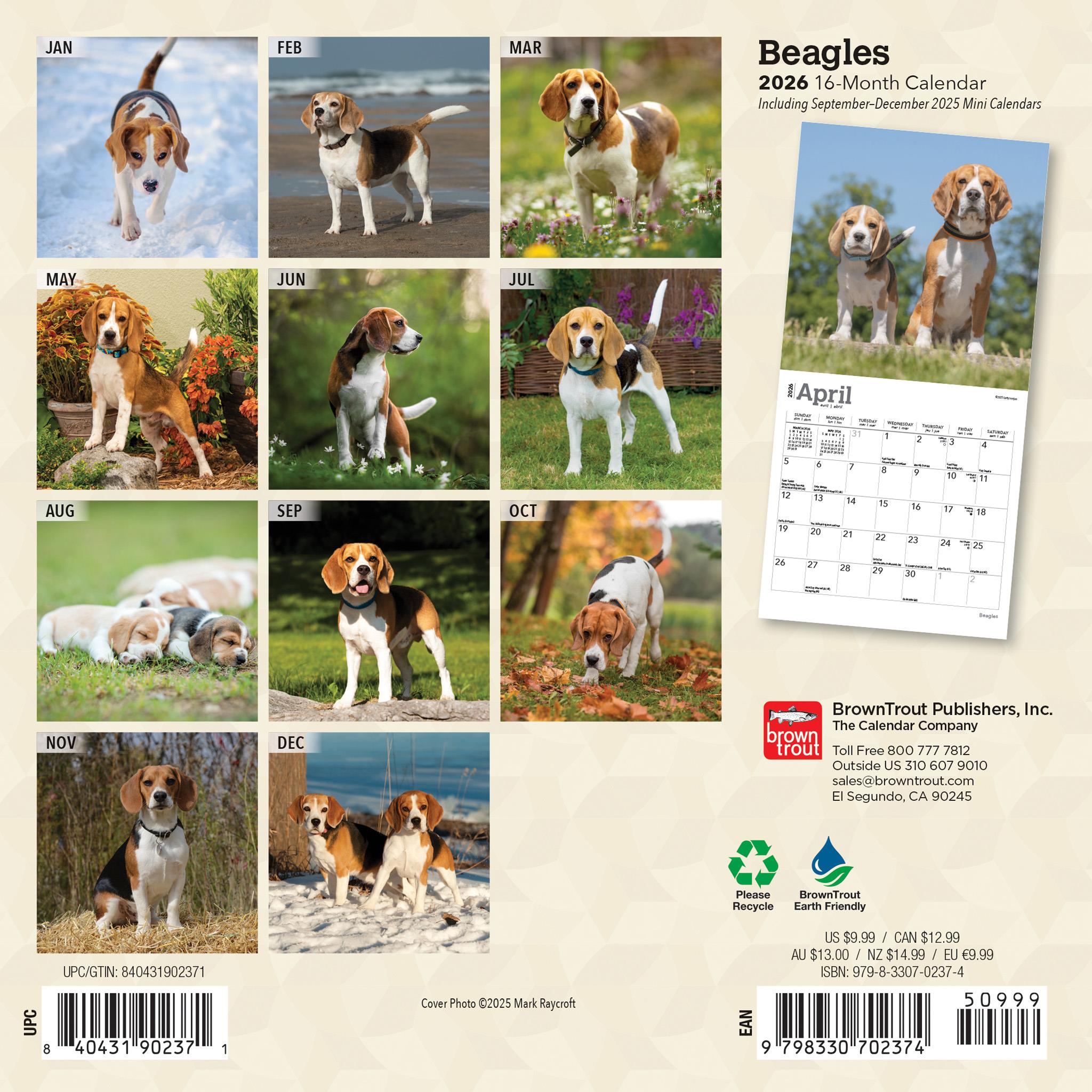 Beagles 2026 Mini Calendar