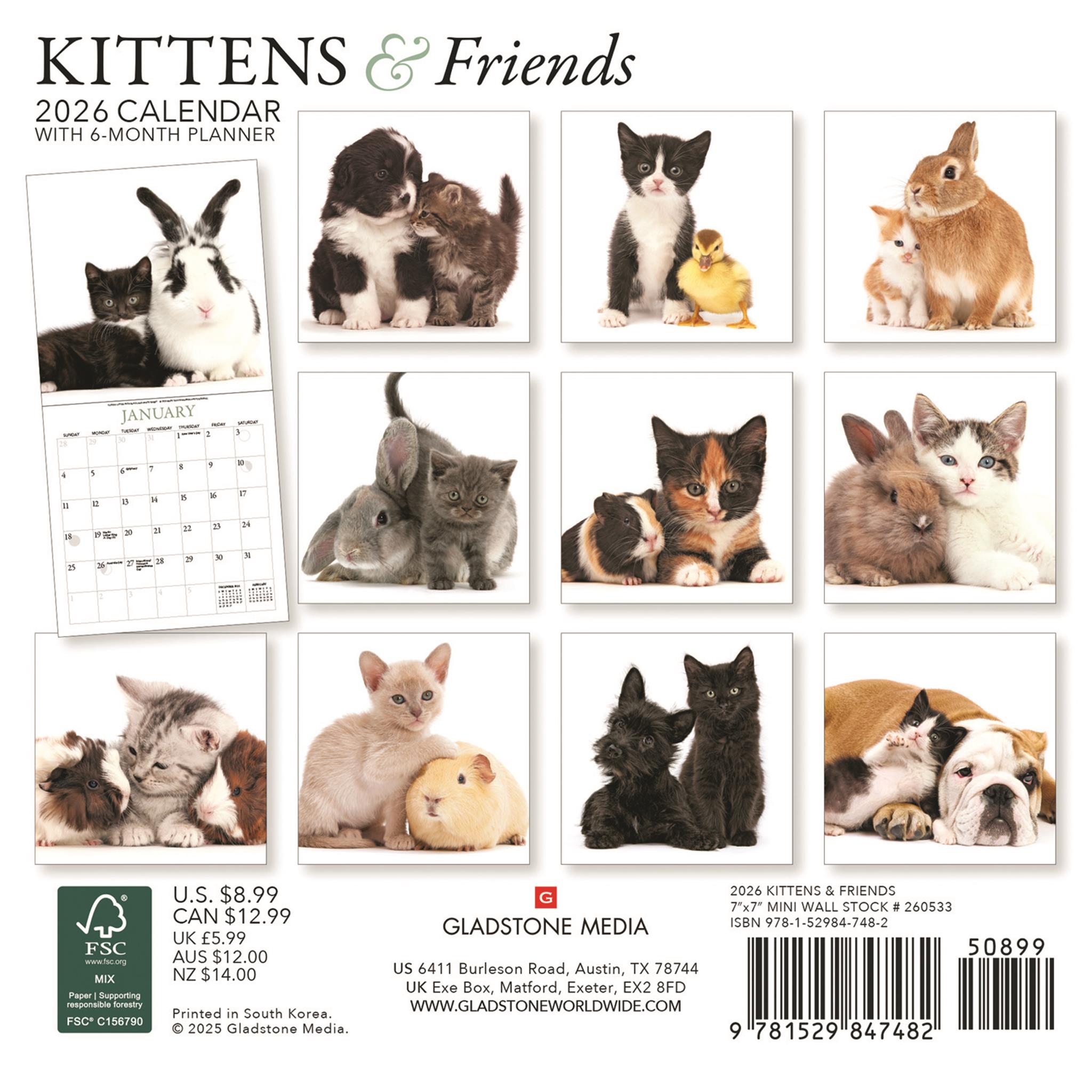 Kittens And Friends Mini 2026 Calendar