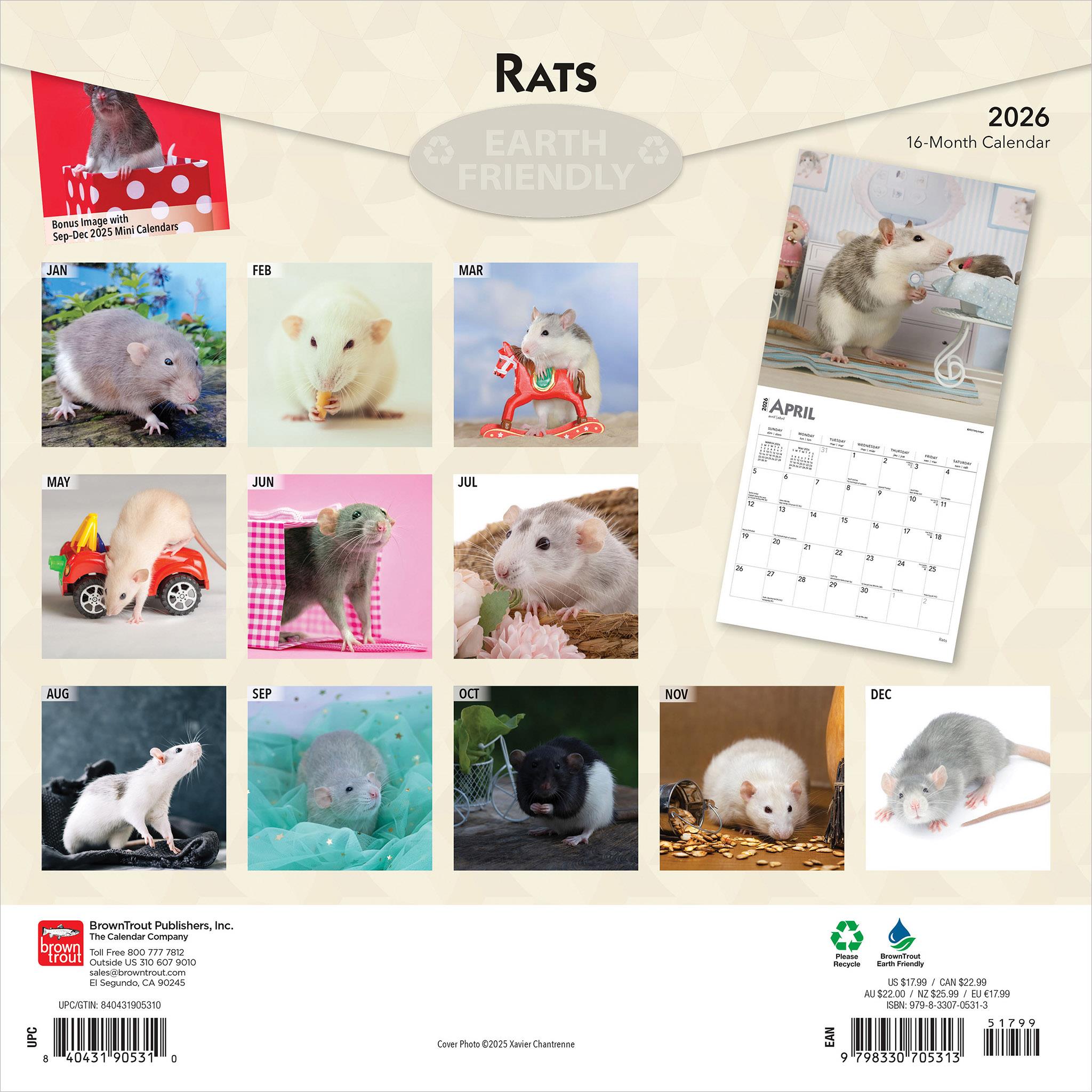 Rats 2026 Wall Calendar