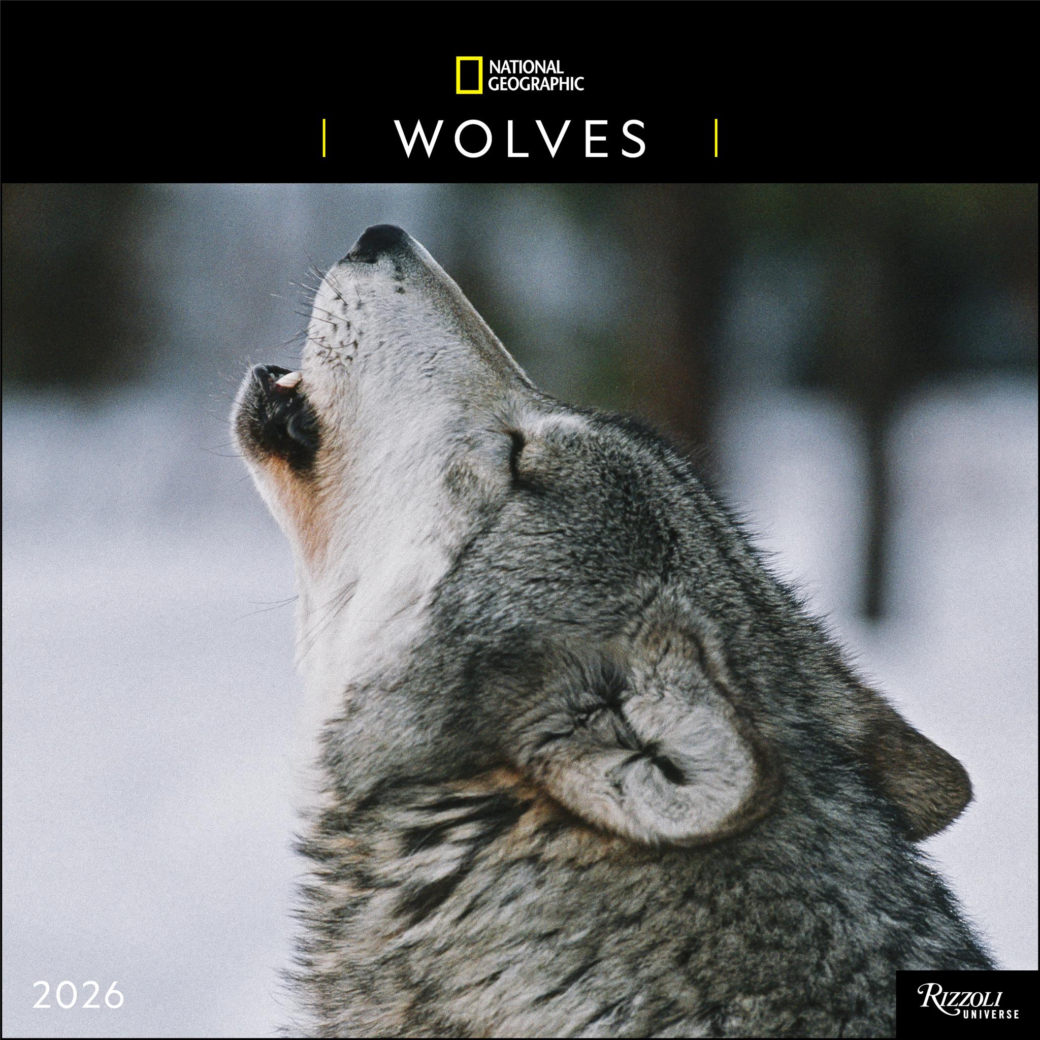 National Geographic Wolves 2026 Wall Calendar