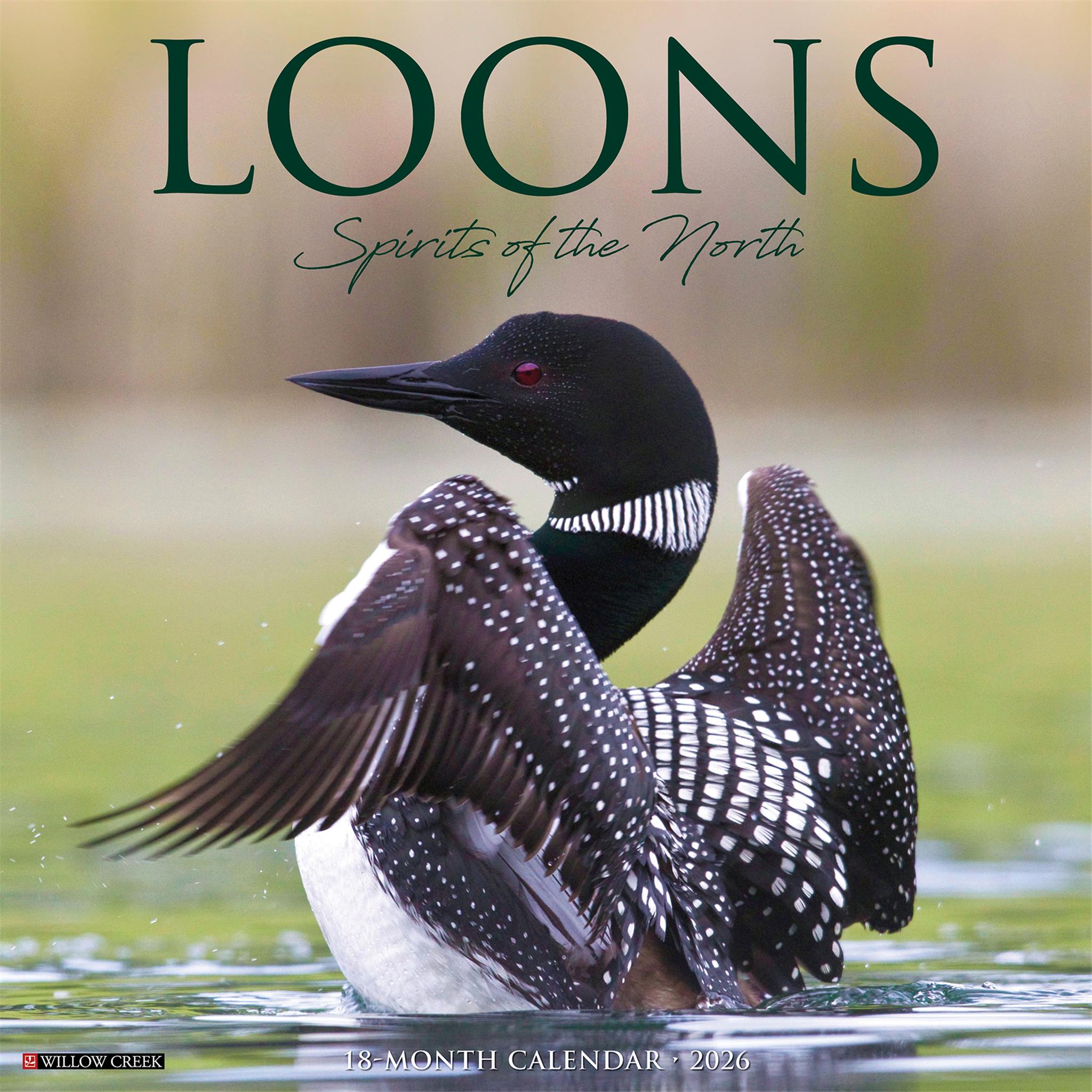 Loons 2026 Wall Calendar - Online Only