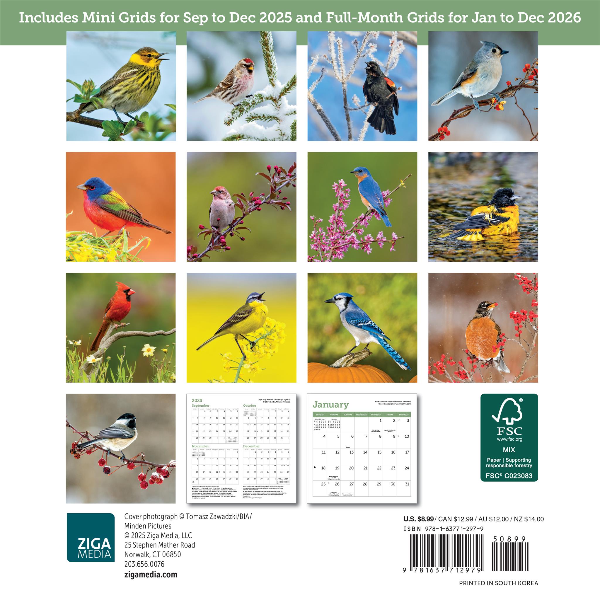 Songbirds 2026 Mini Calendar