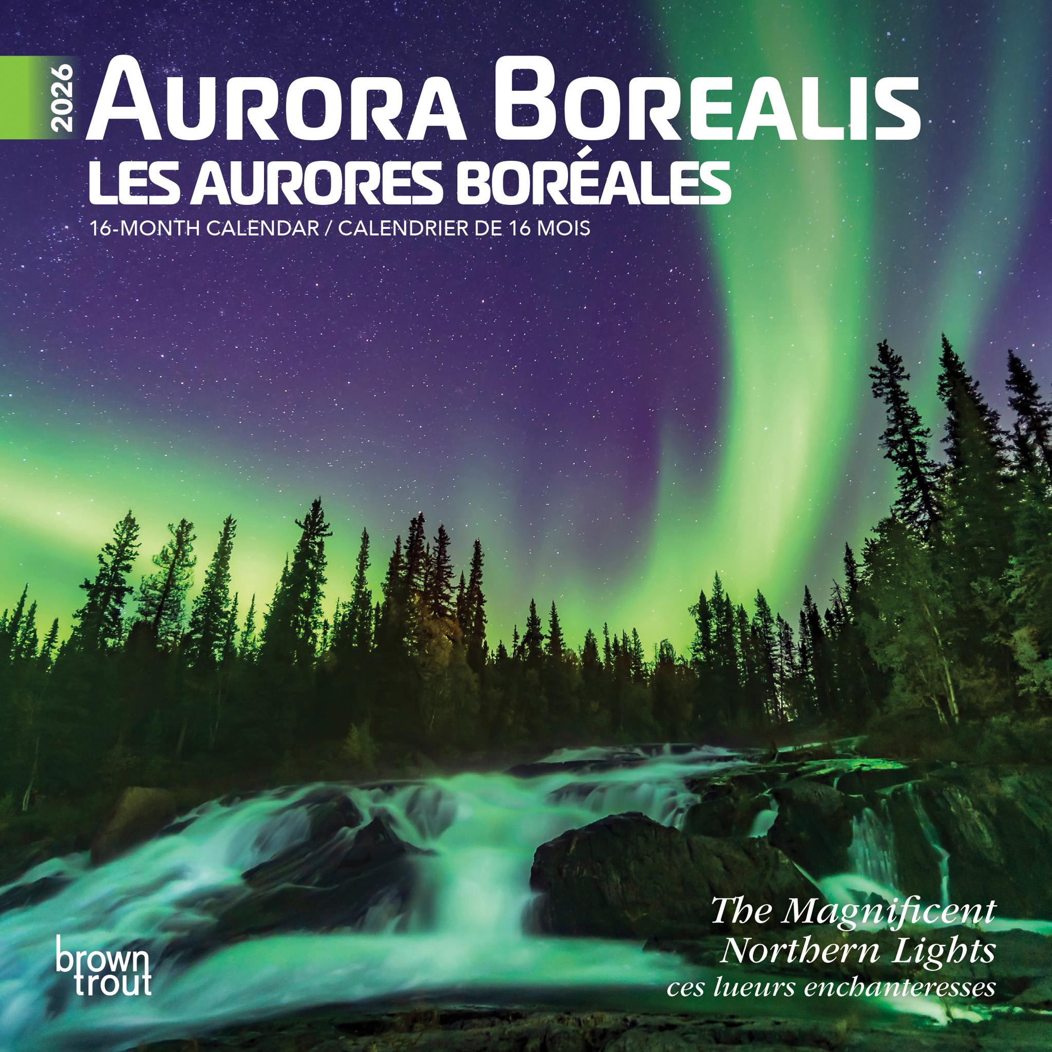 Aurora Borealis - Magnificent Northern Lights Bilingual 2026 Mini Calendar