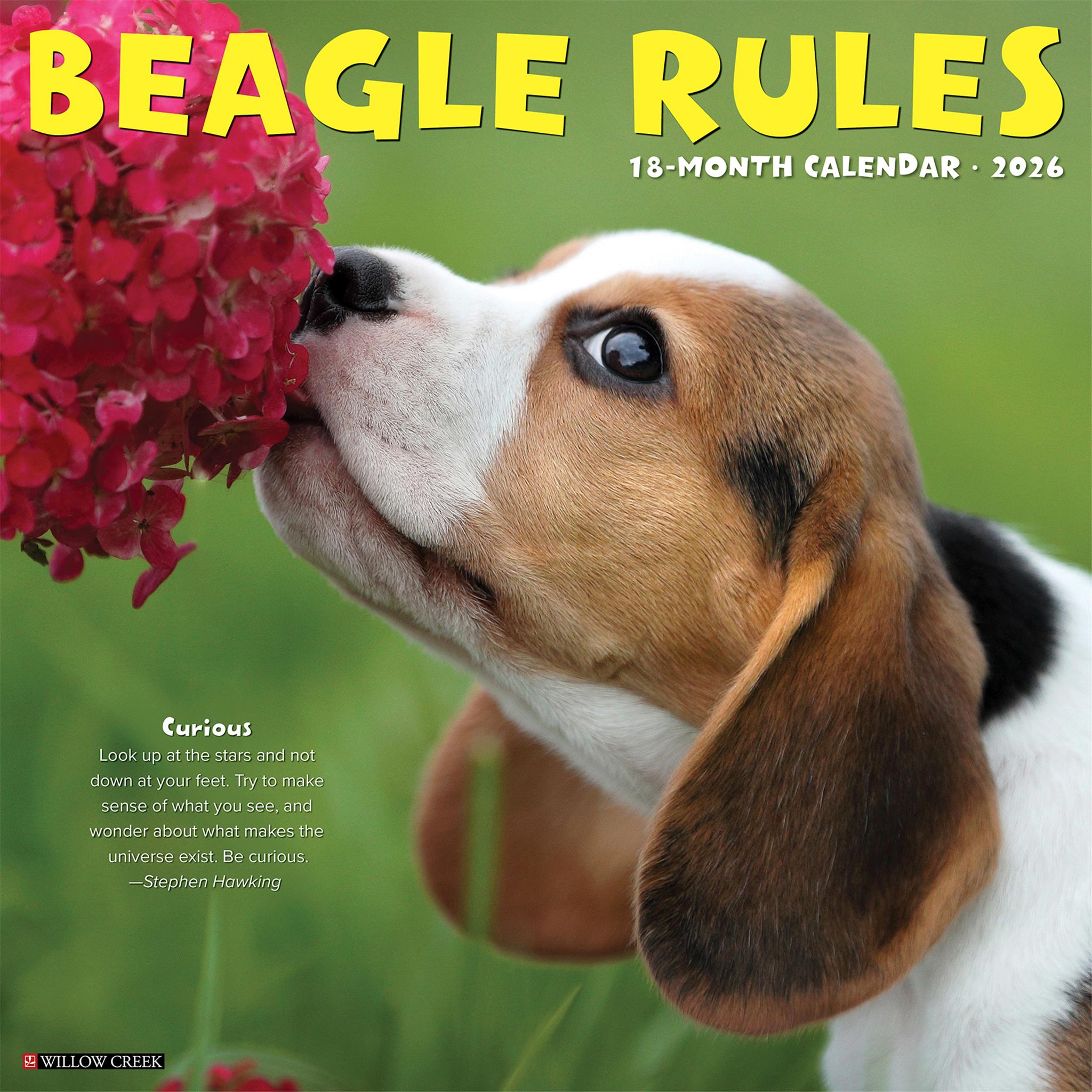 Beagle Rules 2026 Wall Calendar - Online Only