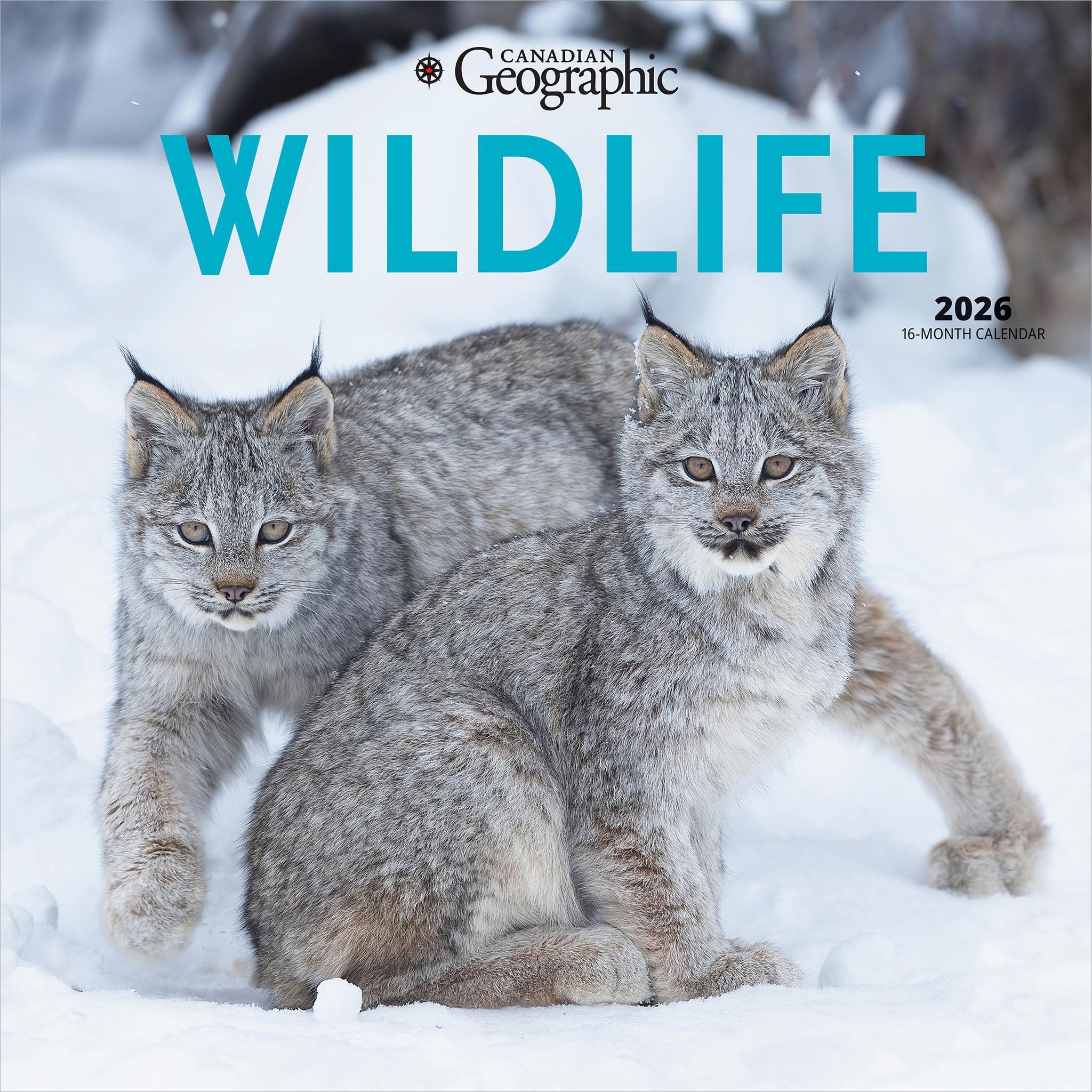 Canadian Geographic Wildlife 2026 Wall Calendar
