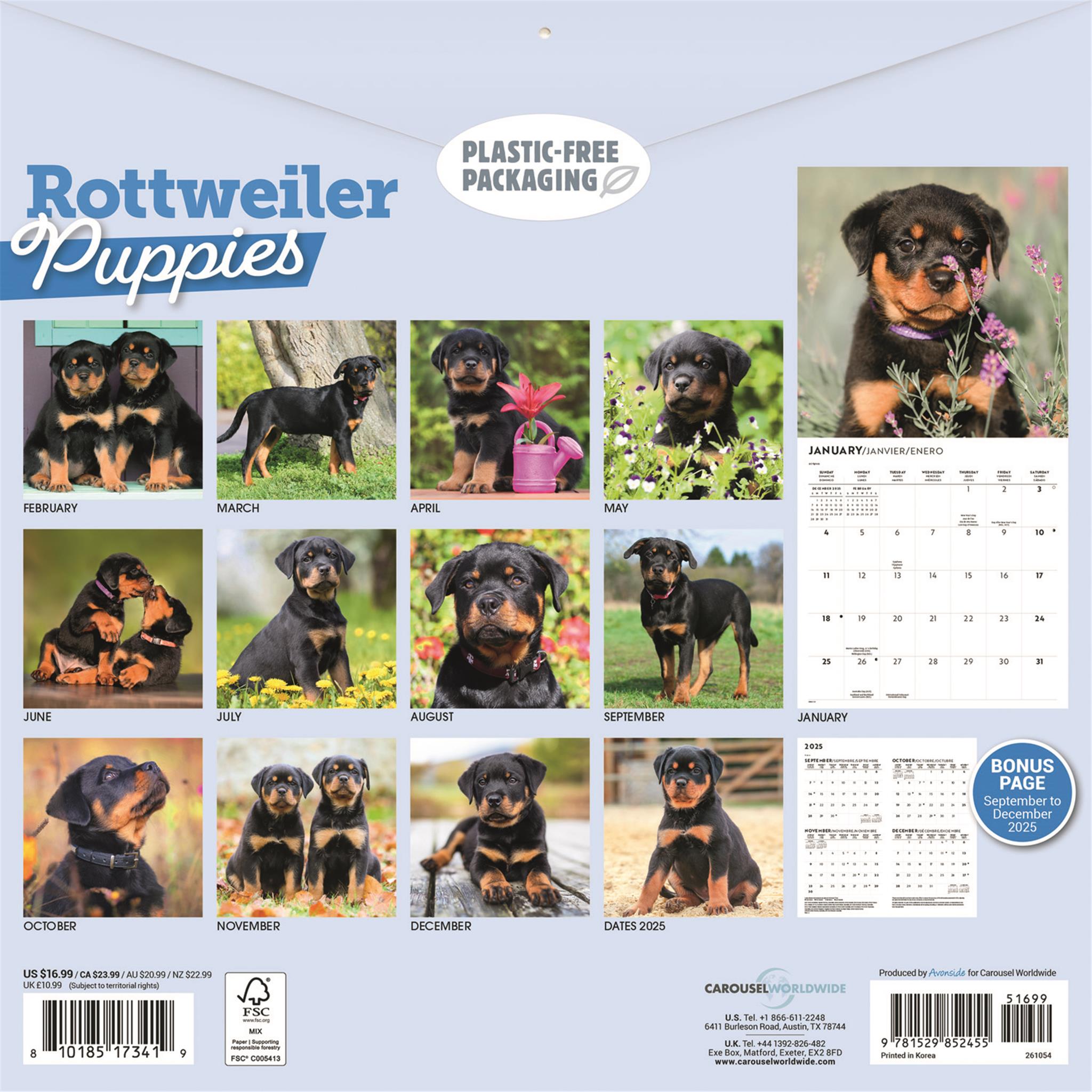 Rottweiler Puppies 2026 Wall Calendar