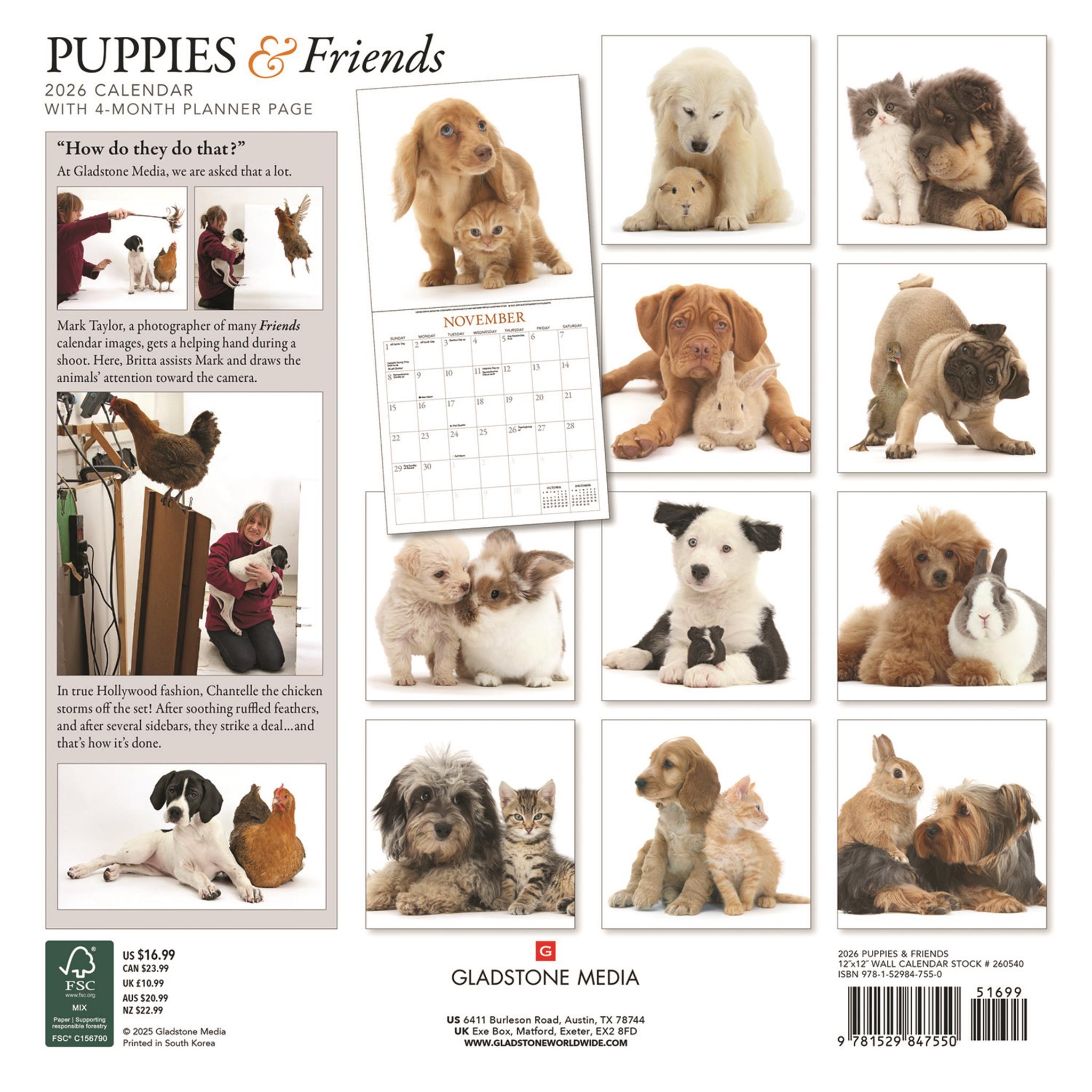Puppies And Friends Wall 2026 Calendar