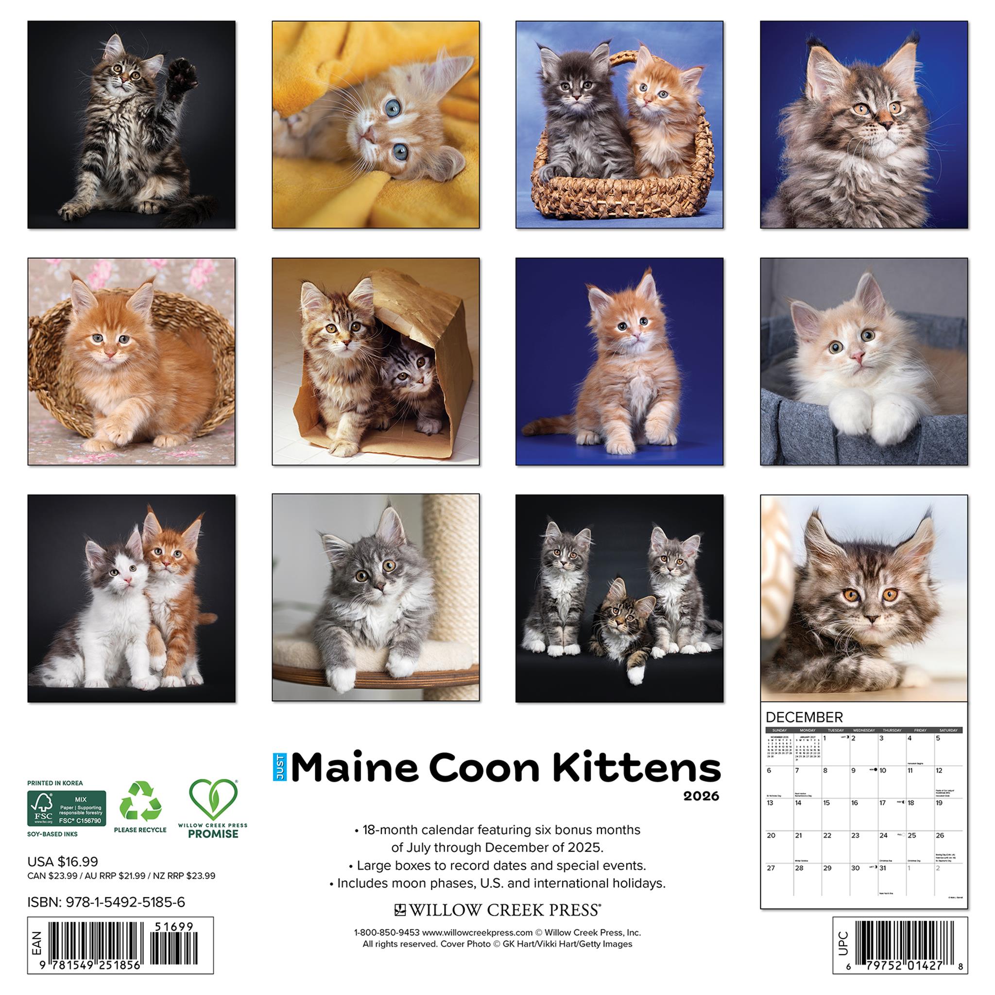Maine Coon Kittens 2026 Just Wall Calendar