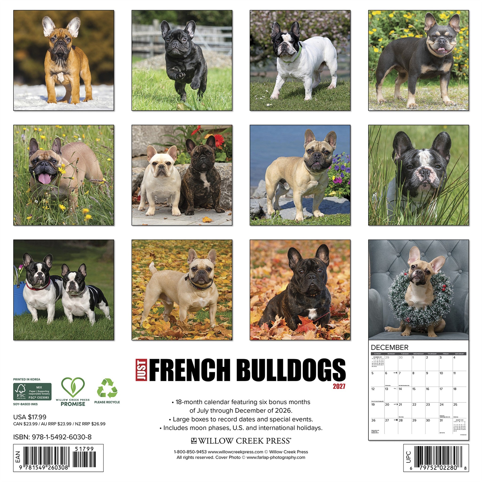 French Bulldogs 2027 Wall Calendar