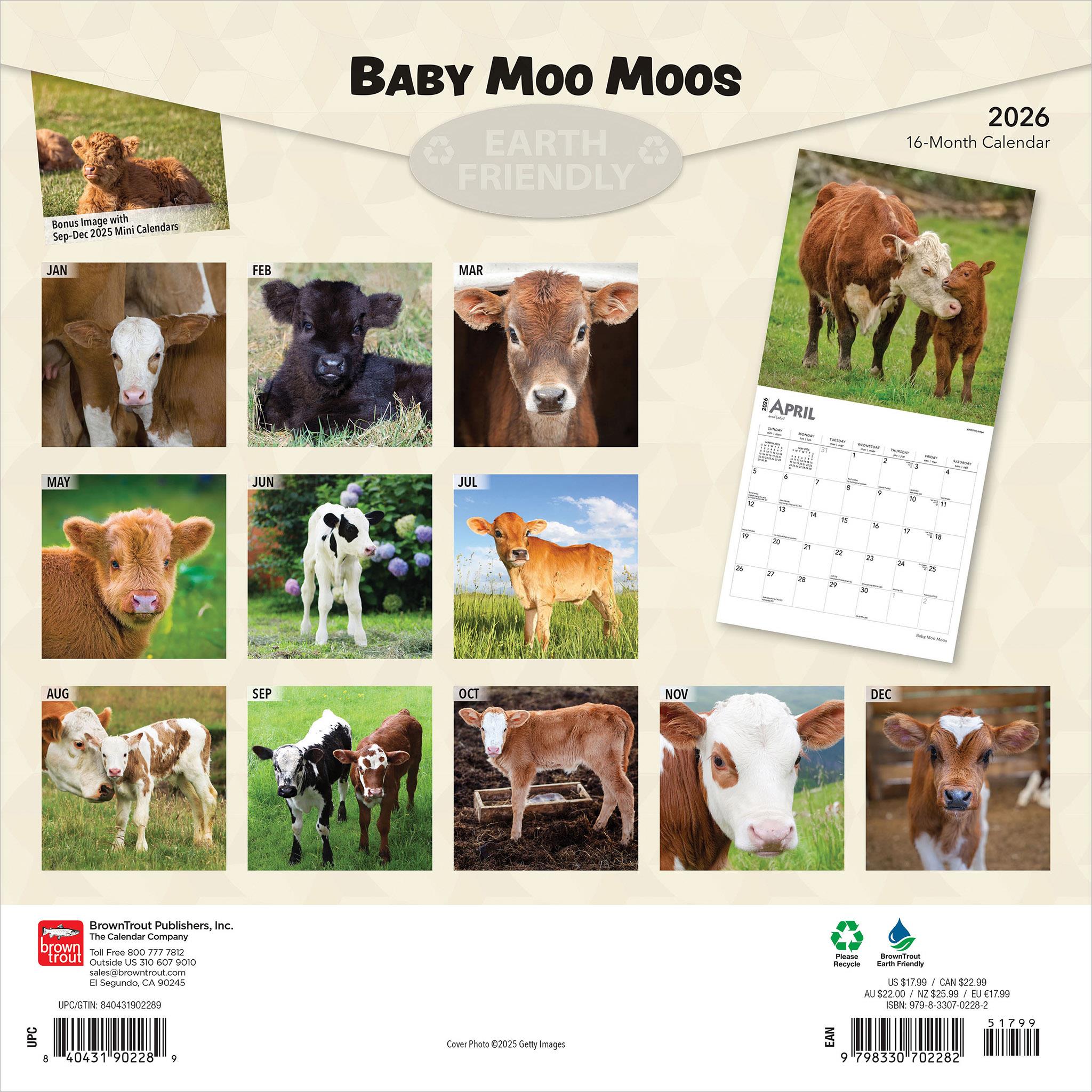 Baby Moo Moos 2026 Wall Calendar - Online Only