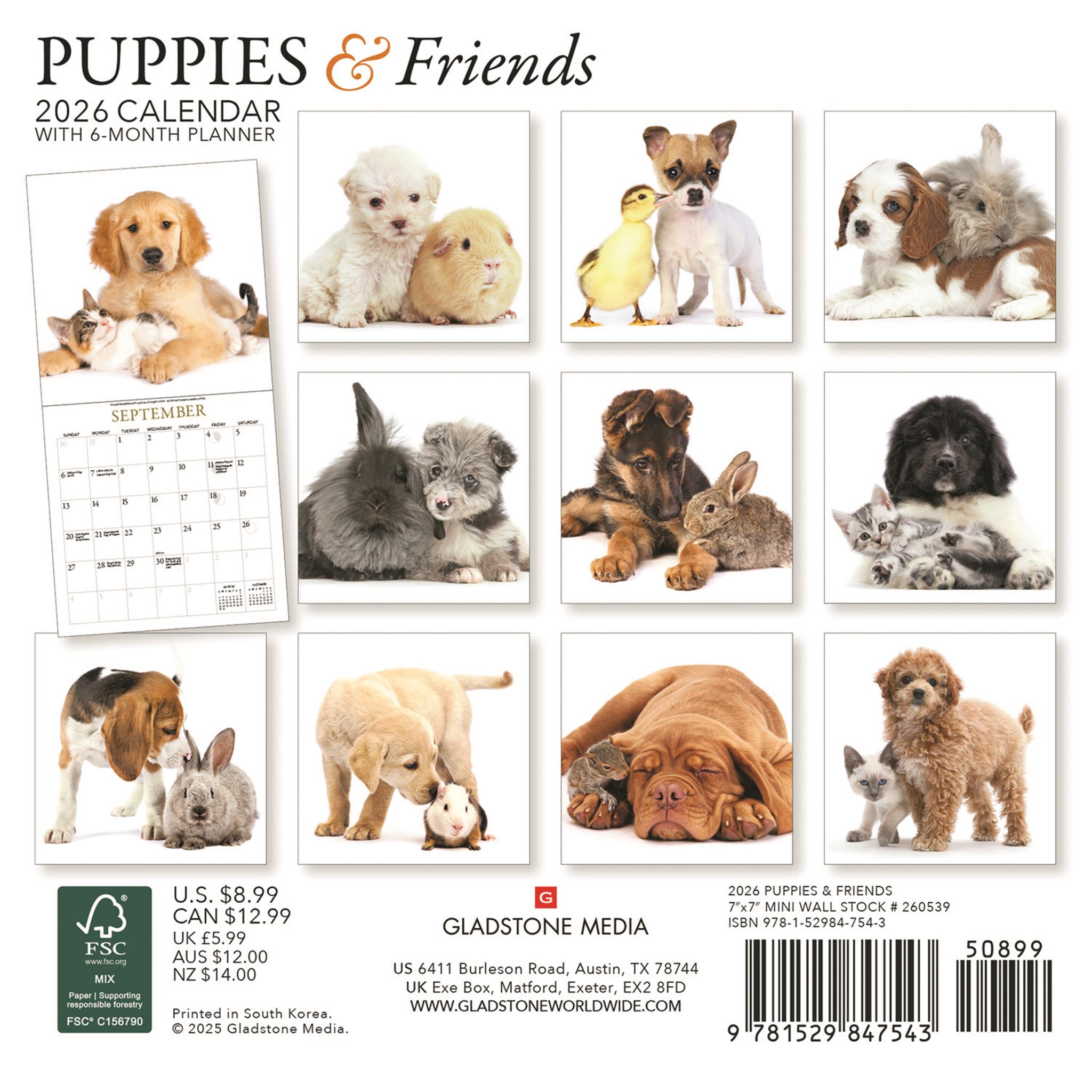 Puppies And Friends Mini 2026 Calendar