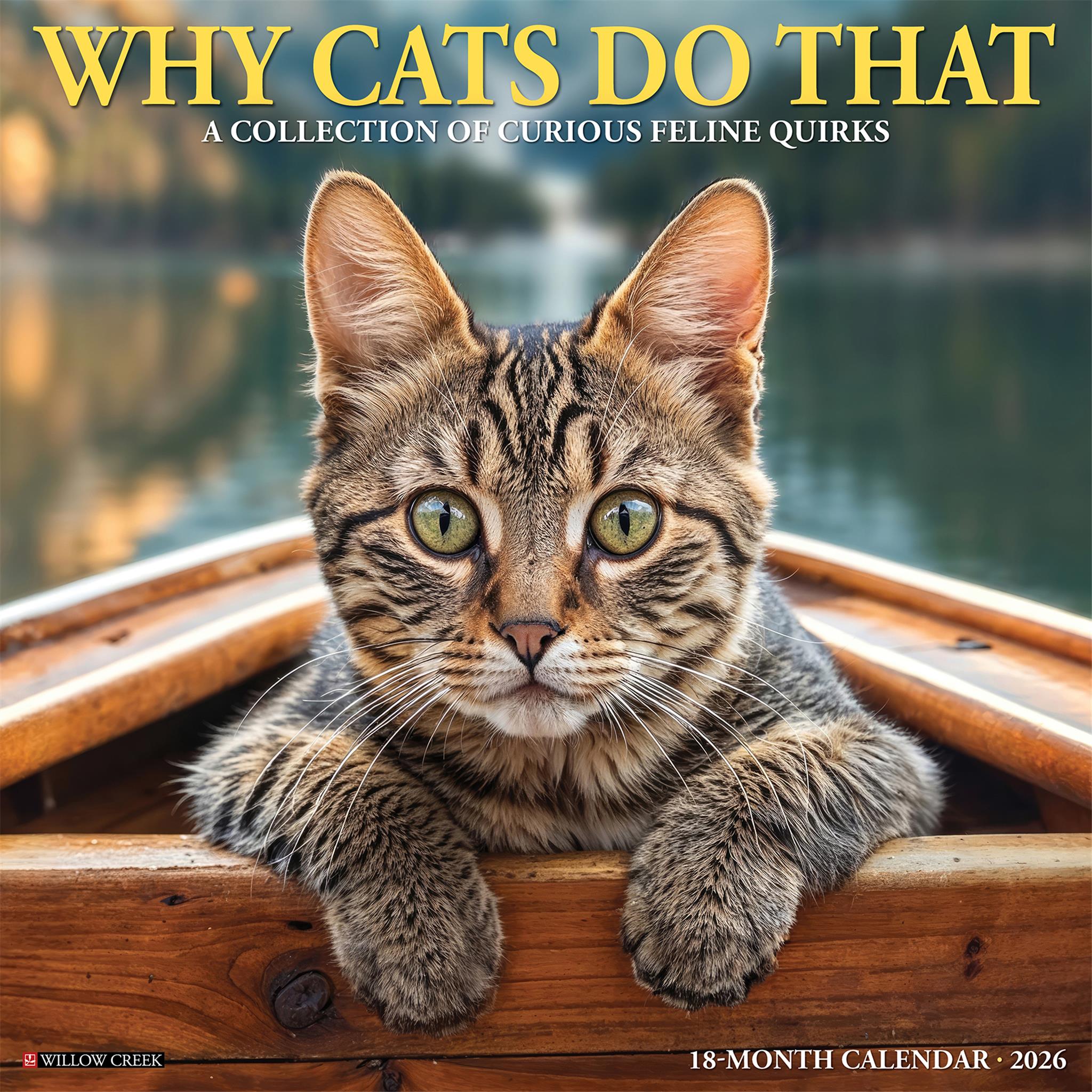 Why Cats Do That 2026 Wall Calendar