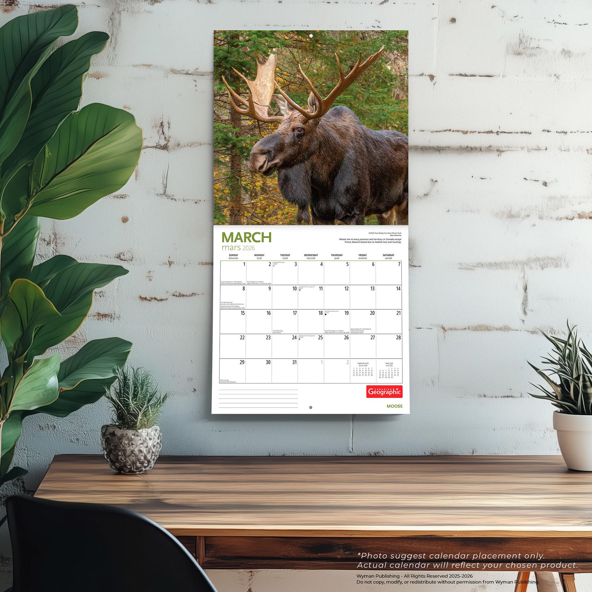 Canadian Geographic Moose 2026 Wall Calendar