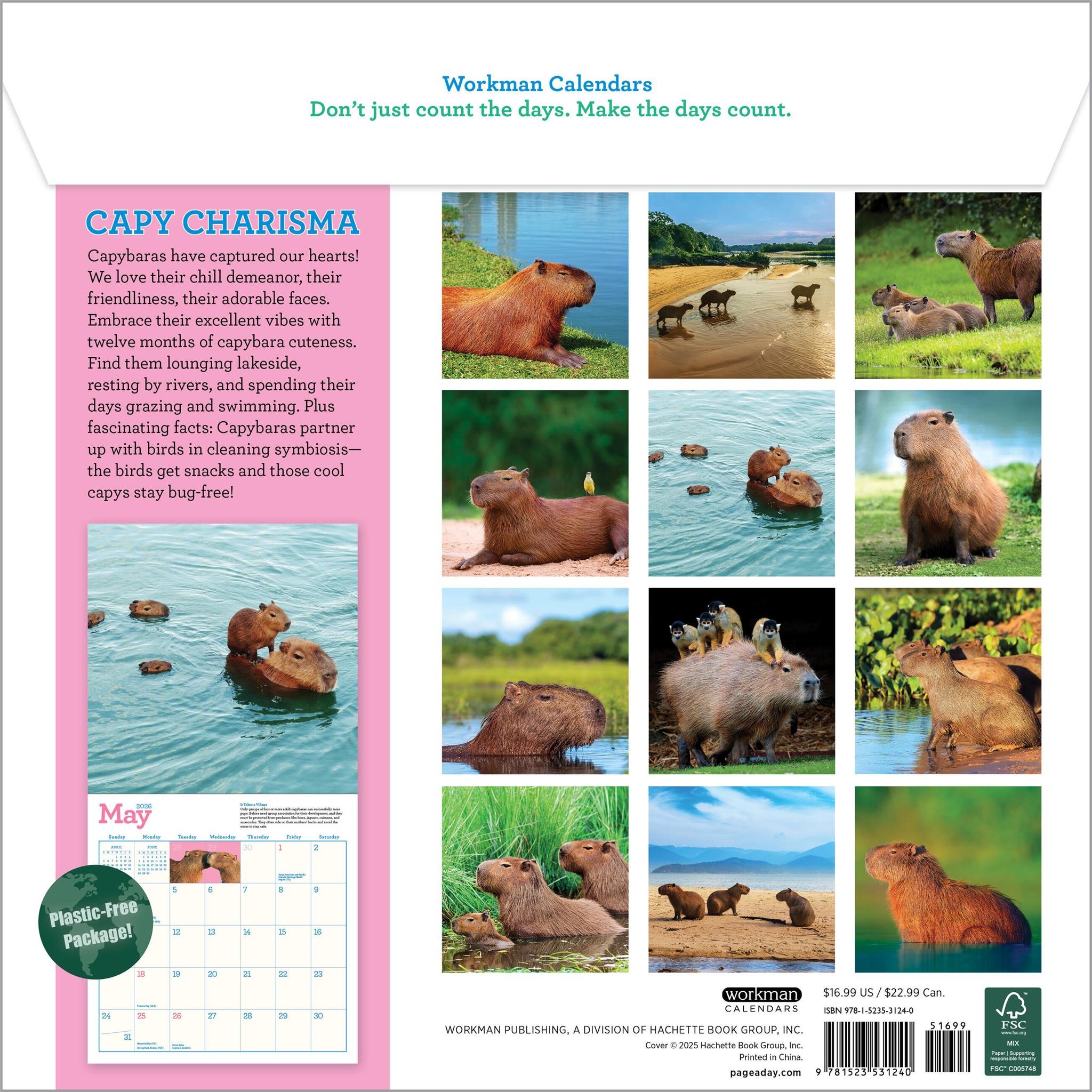 Capybara 2026 Wall Calendar - Calendar Club Canada