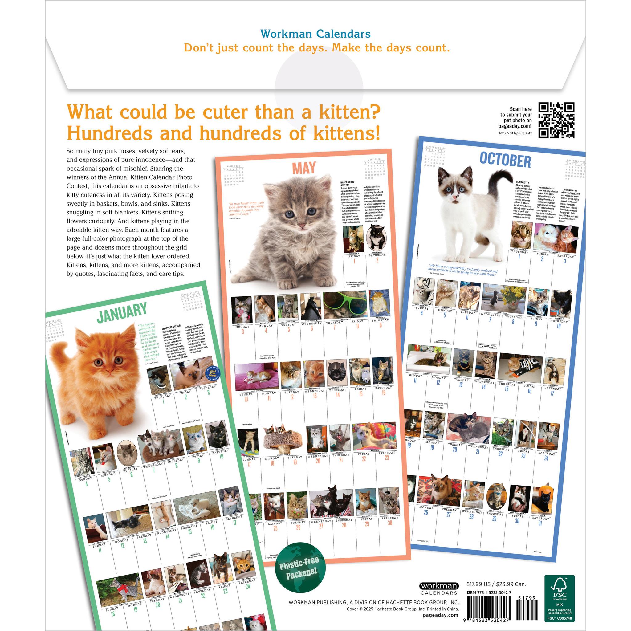 Kittens 365 2026 Wall Calendar