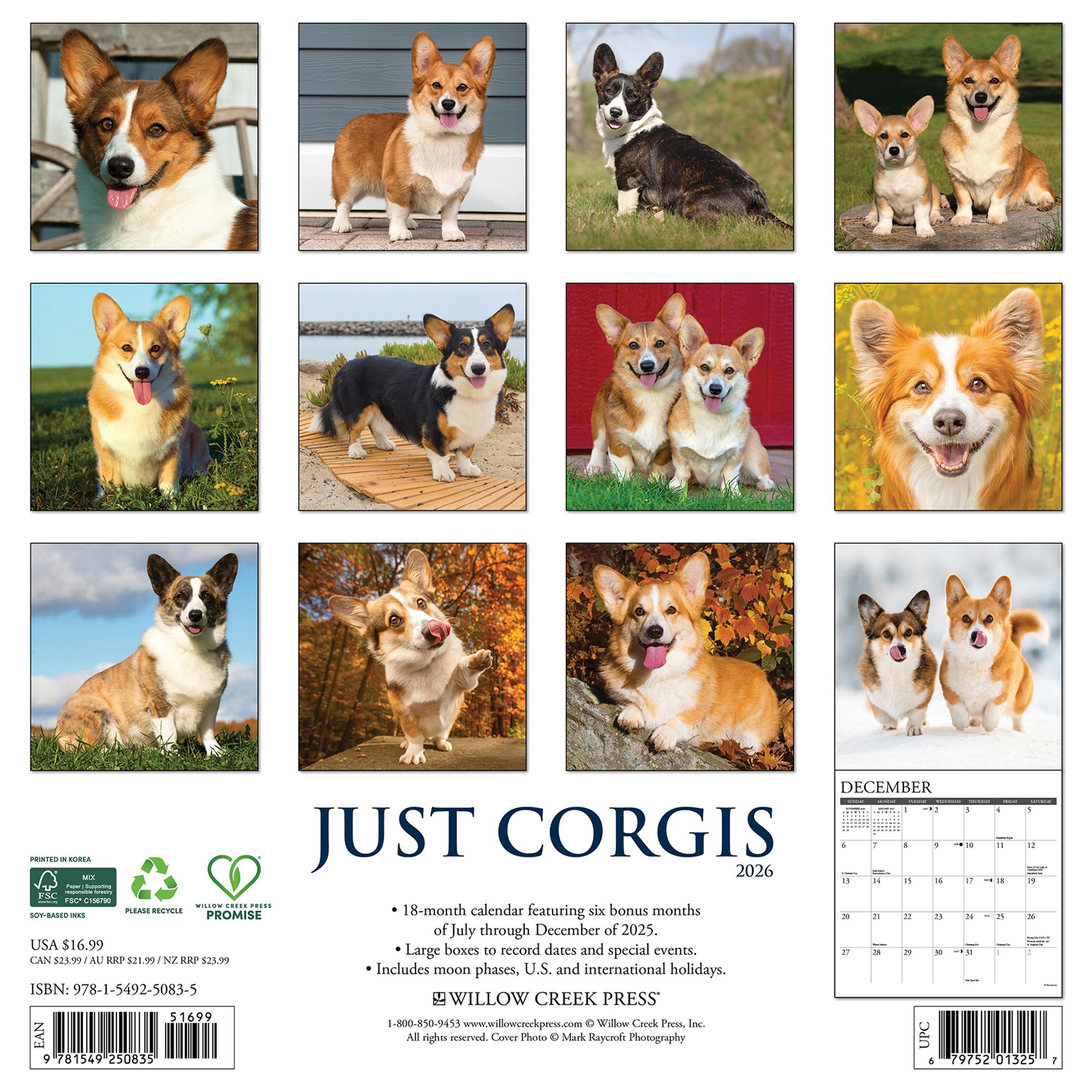 Just Corgis 2026 Wall Calendar