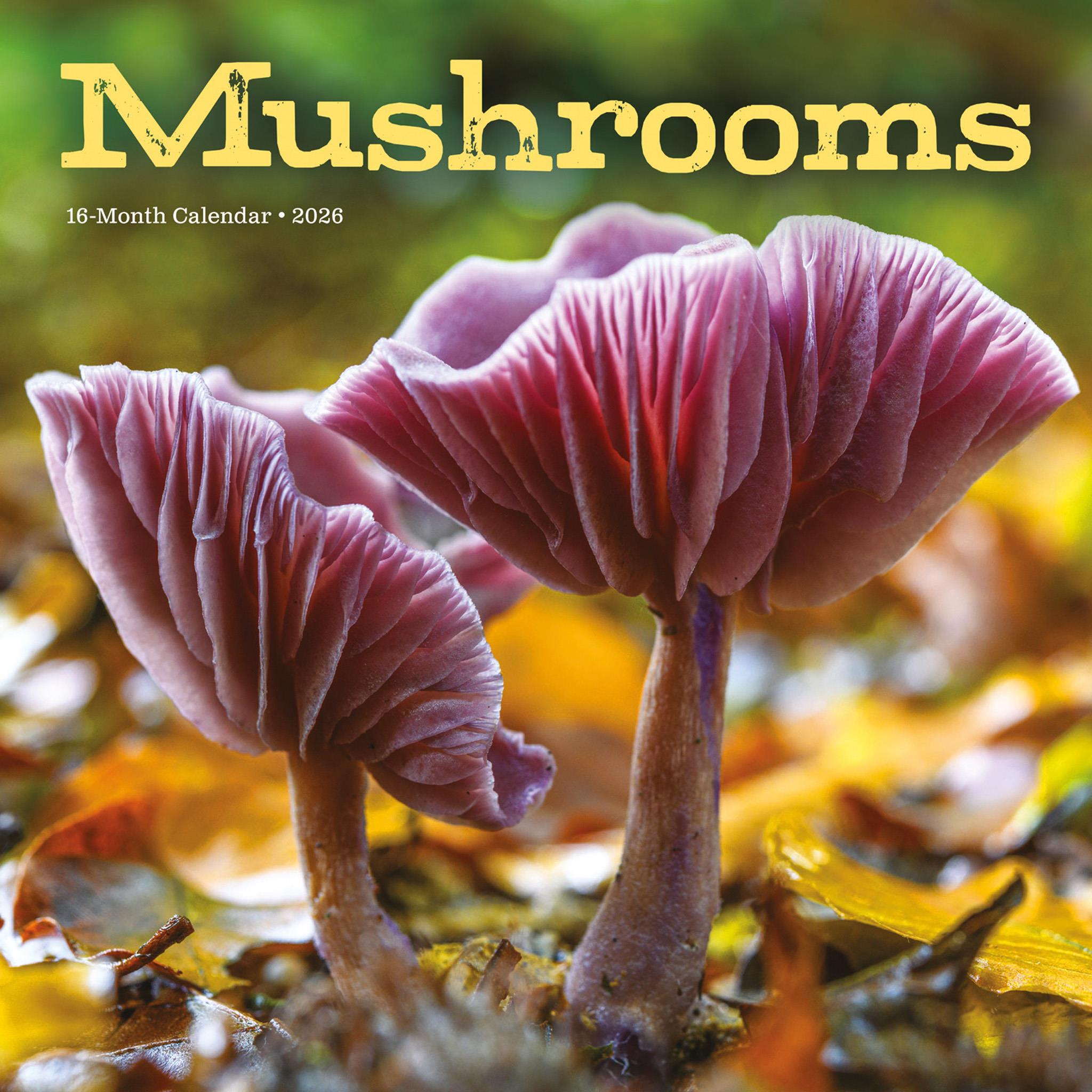 Mushrooms 2026 Wall Calendar