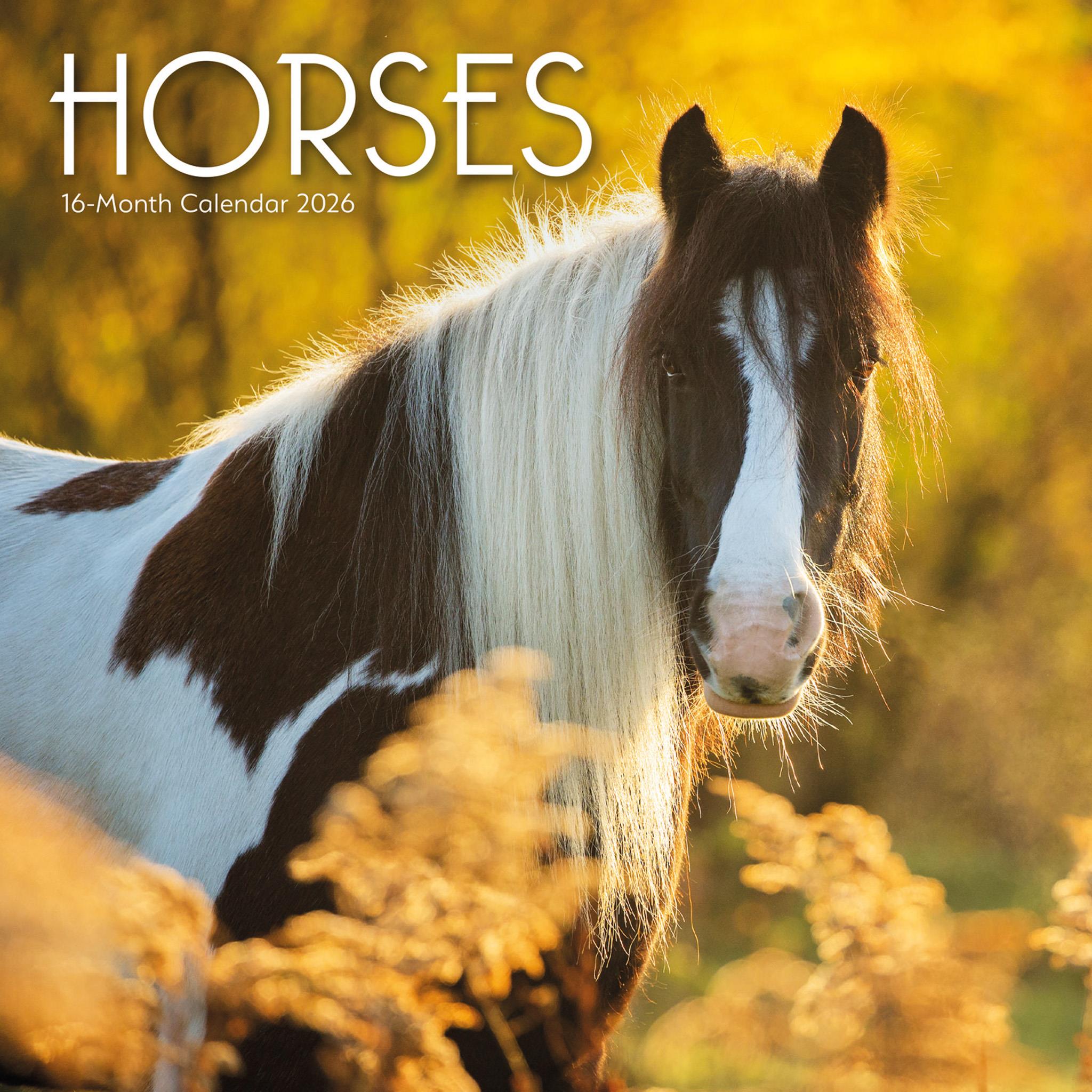 Horses 2026 Wall Calendar