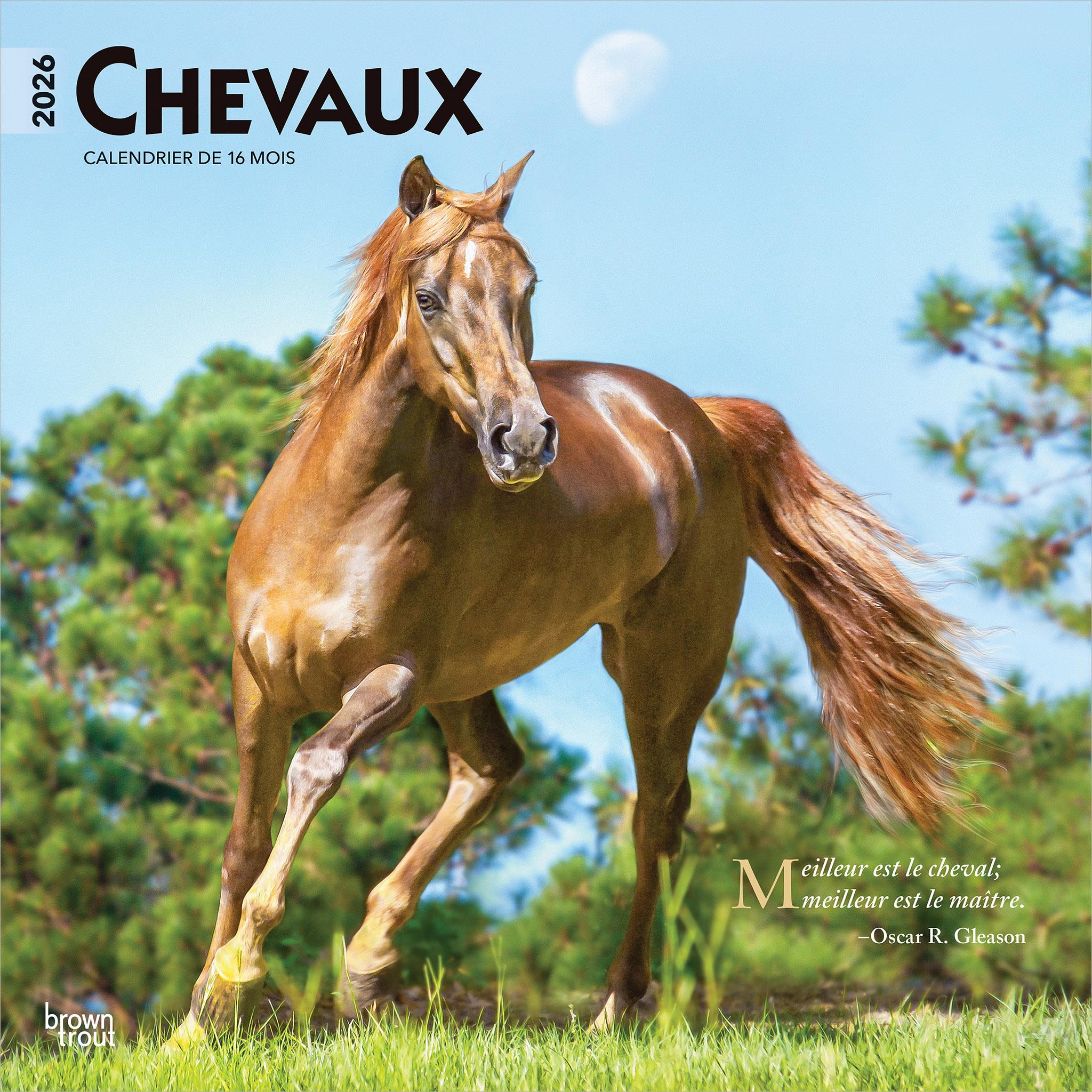 Chevaux 2026 Wall Calendar (French)