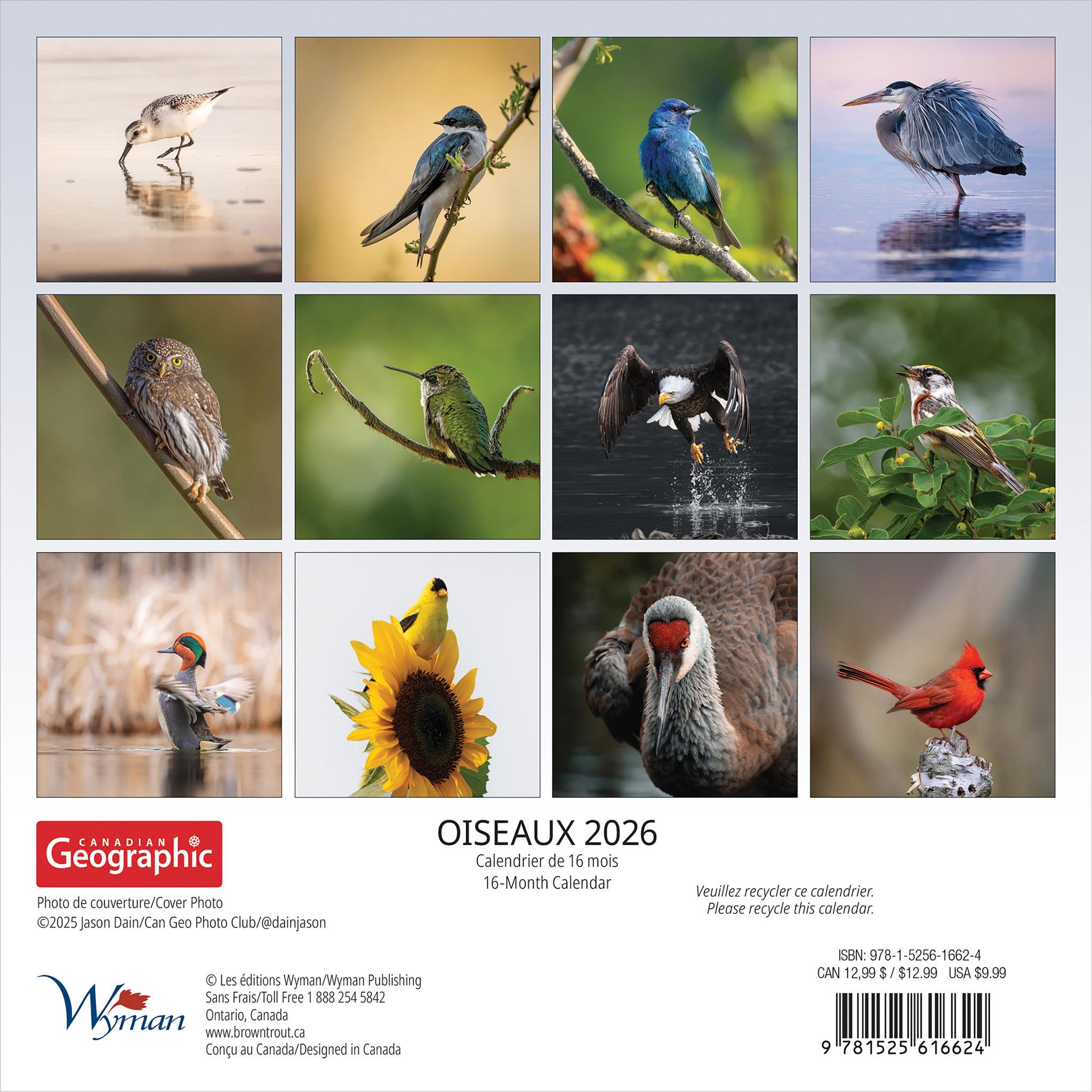 Canadian Geographic Oiseaux 2026 Mini Calendar (French)
