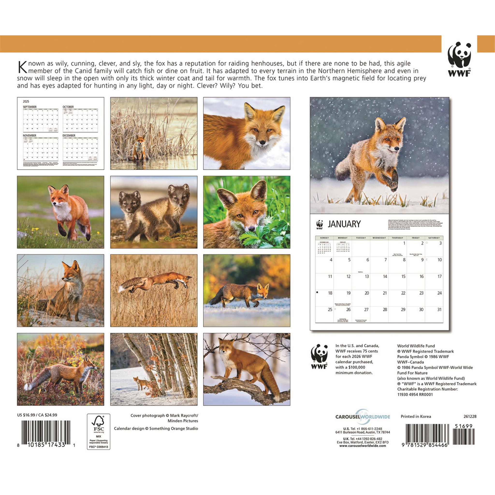 World Wildlife Fund Foxes 2026 Wall Calendar - Calendar Club Canada