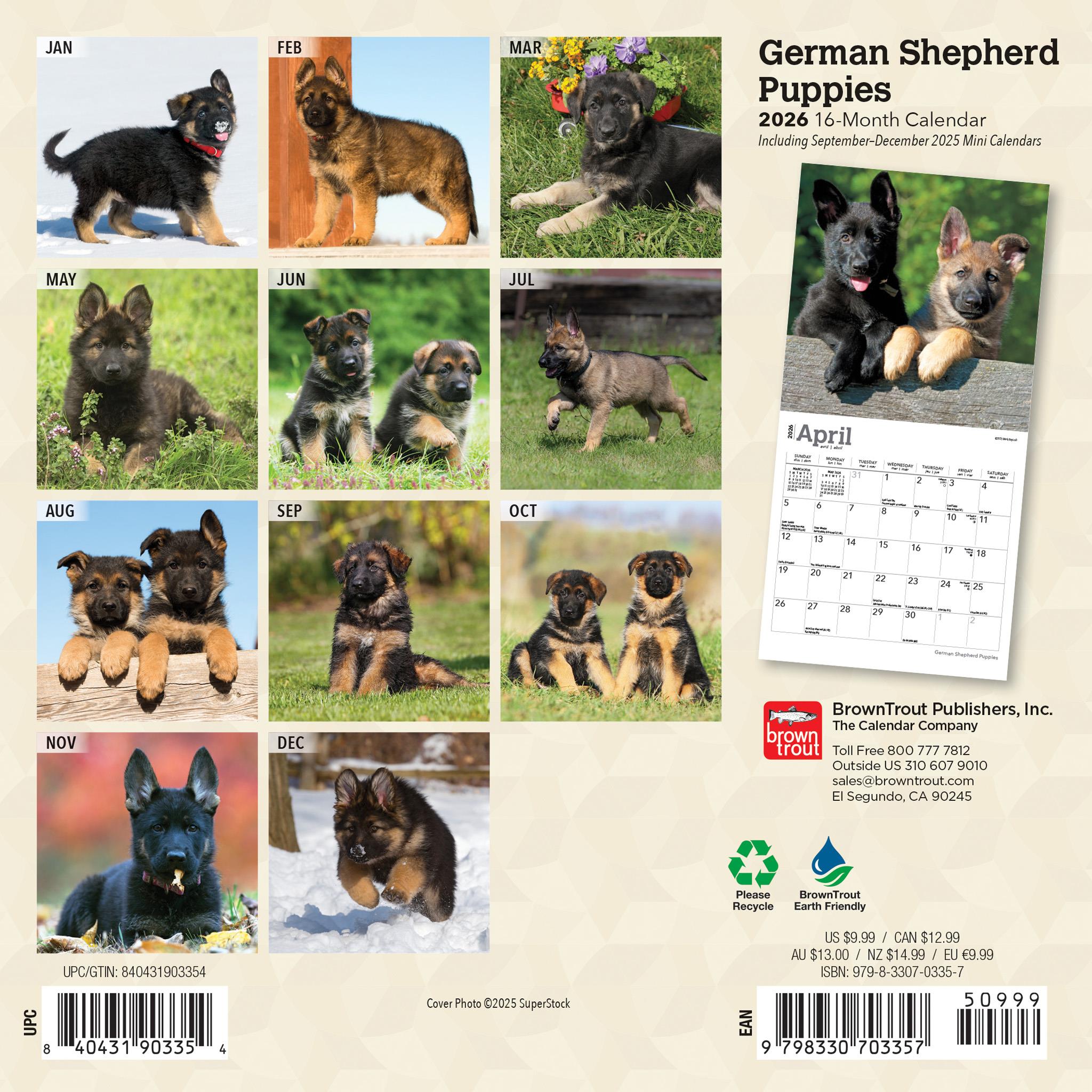 German Shepherd Puppies 2026 Mini Calendar