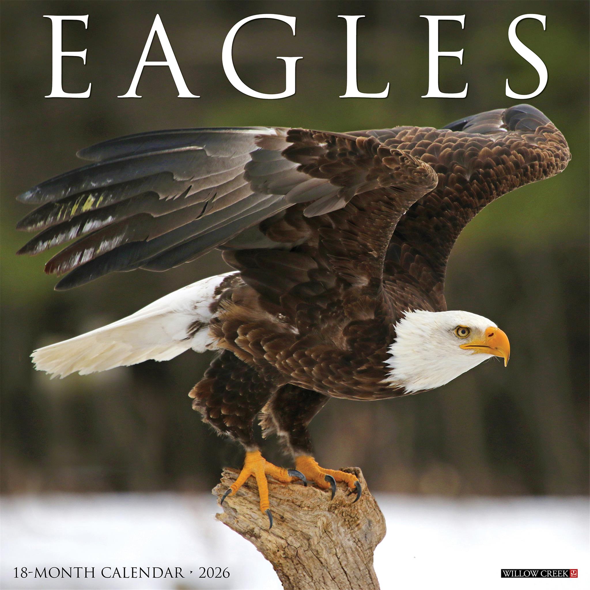 Eagles 2026 Wall Calendar - Online Only