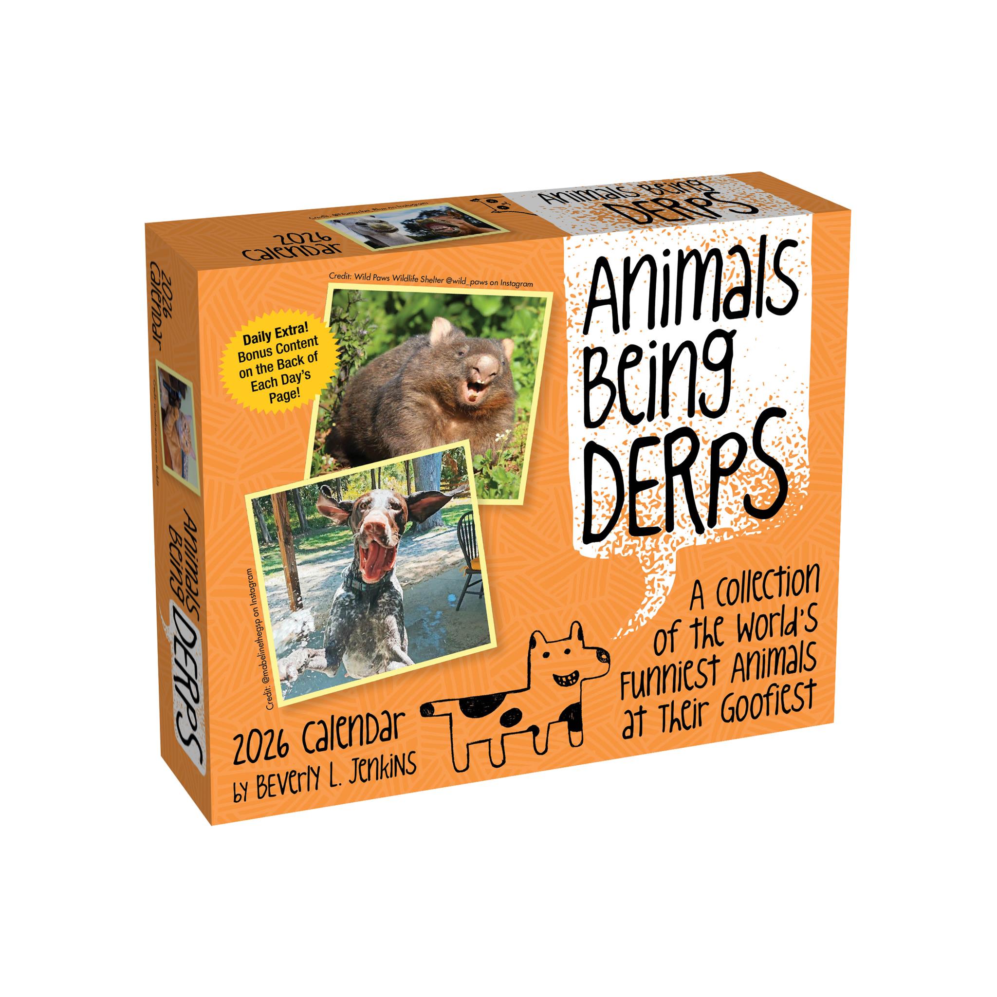 Animals Being Derps 2026 Box Calendar