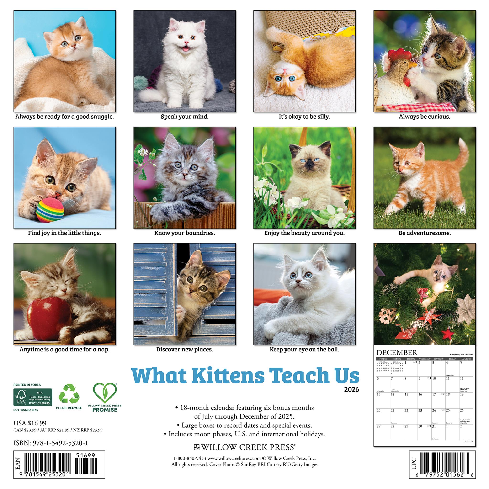 What Kittens Teach Us 2026 Wall Calendar