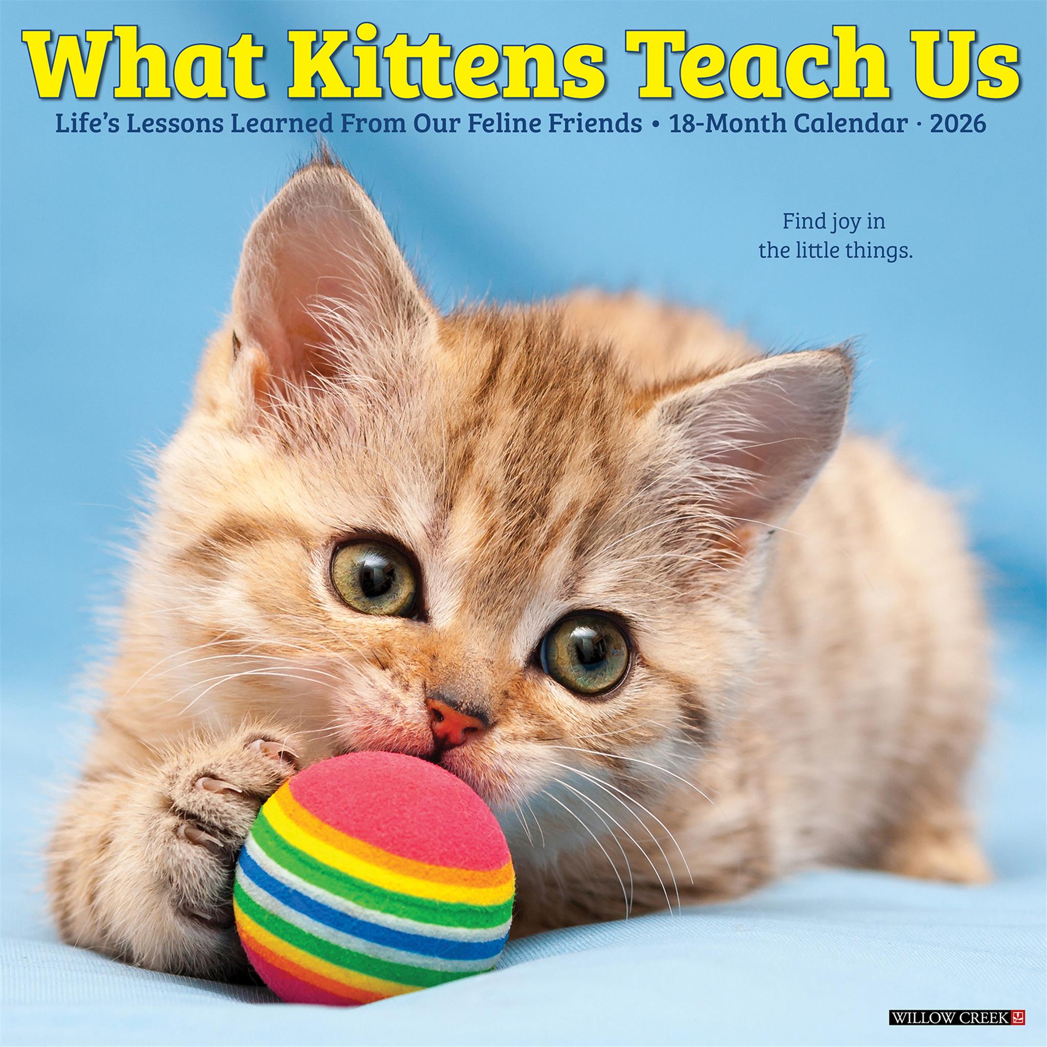 What Kittens Teach Us 2026 Wall Calendar
