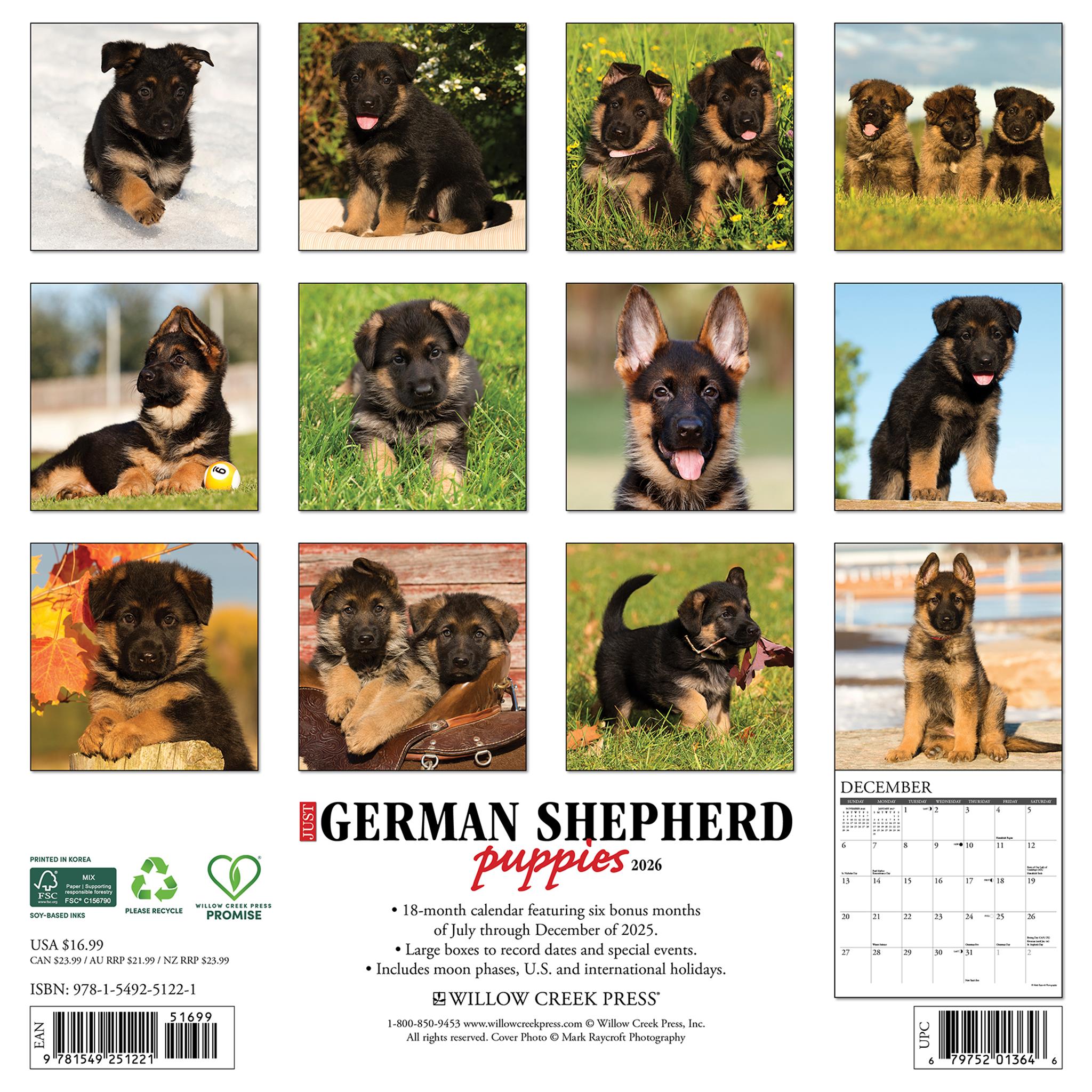 Just German Shepherd Puppies 2026 Wall Calendar