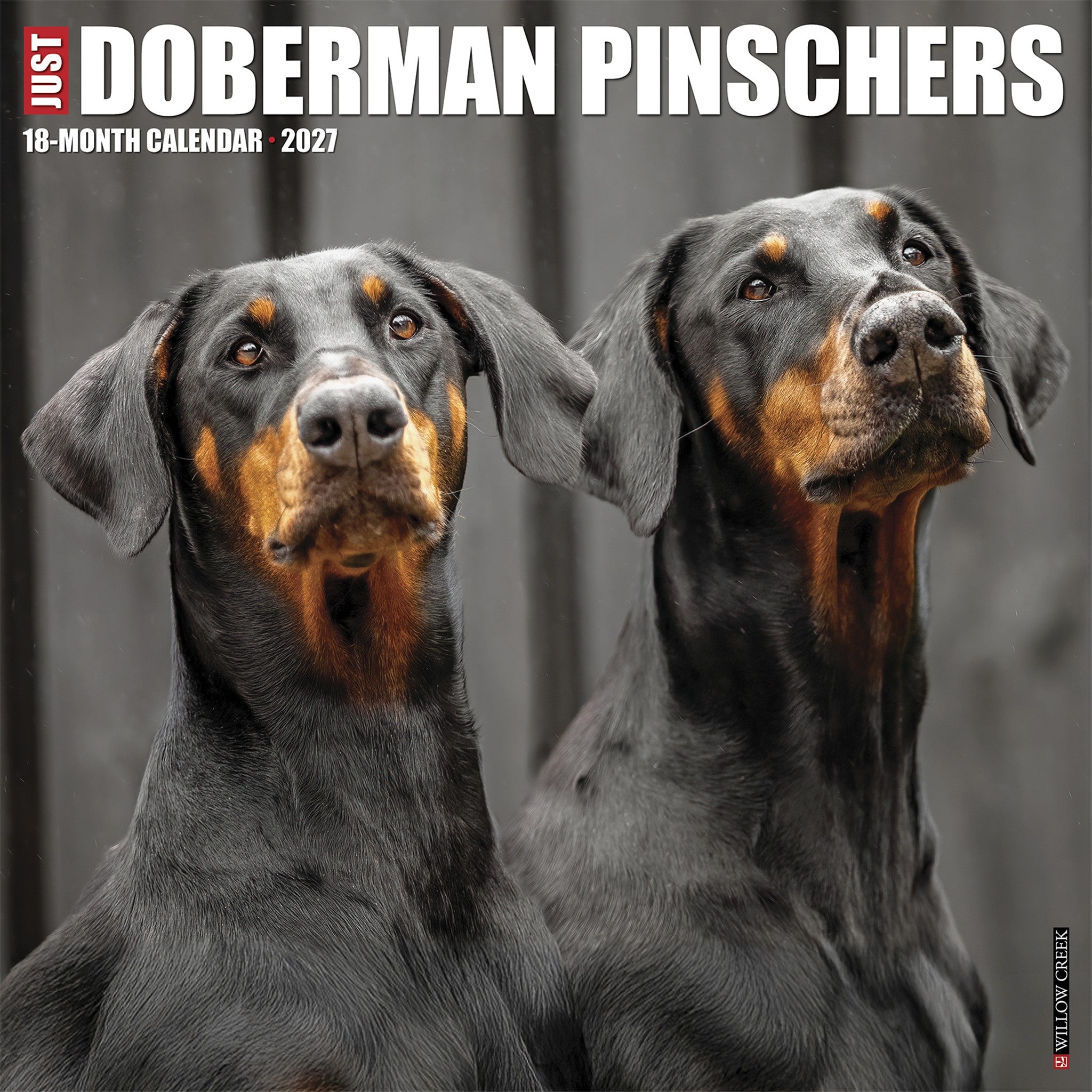 Doberman Pinschers 2027 Wall Calendar - Online Only