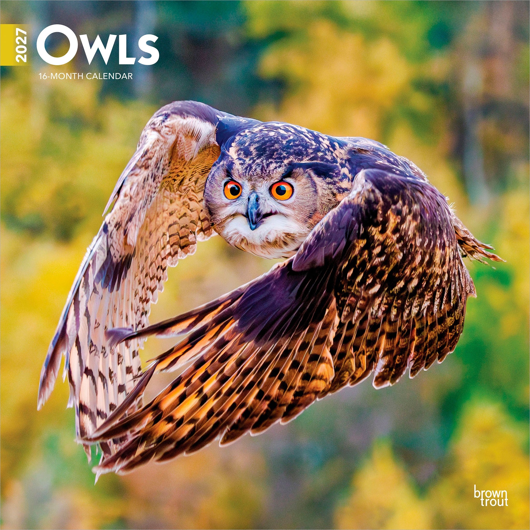 Owls 2027 Wall Calendar - Online Only