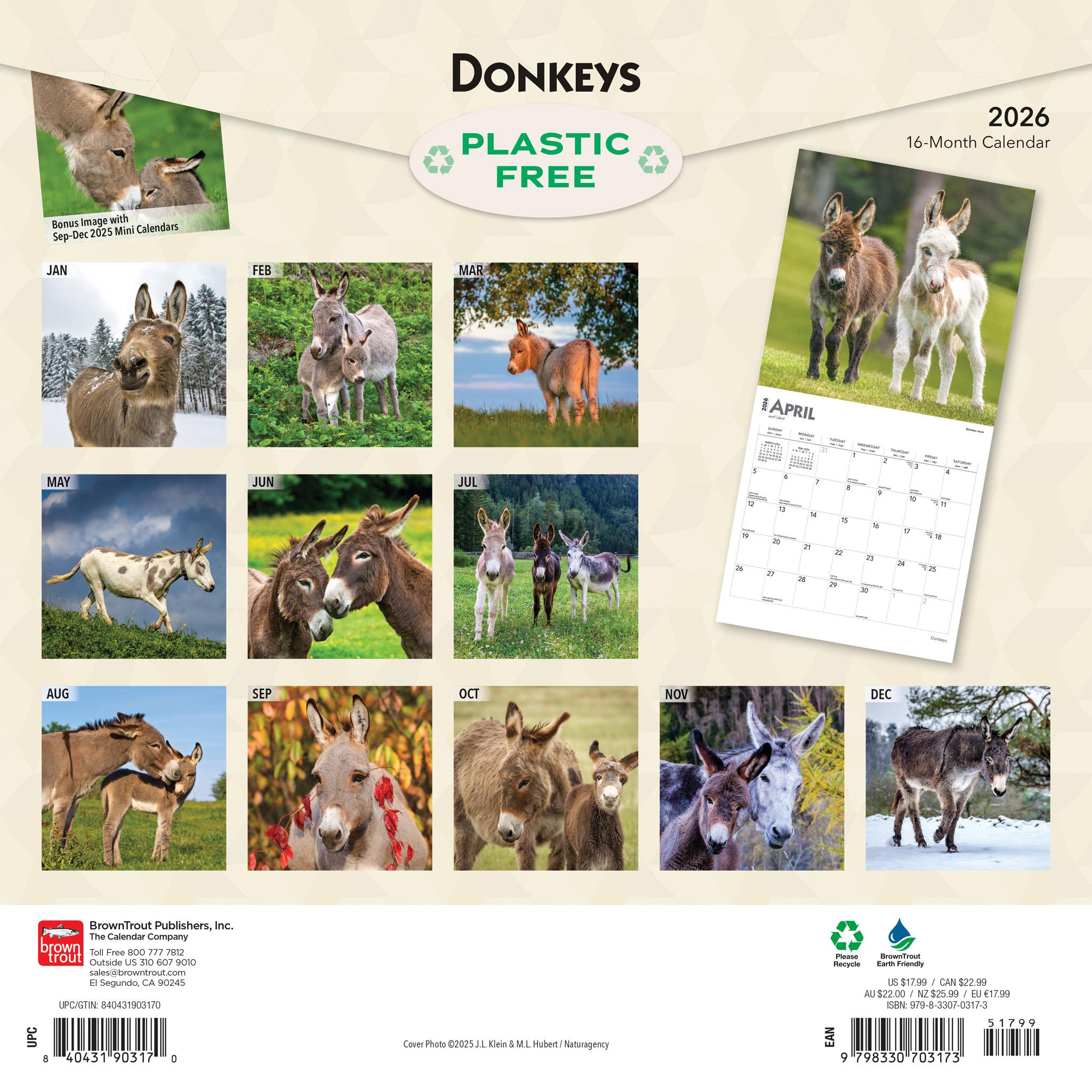 Donkeys 2026 Wall Calendar - Calendar Club Canada