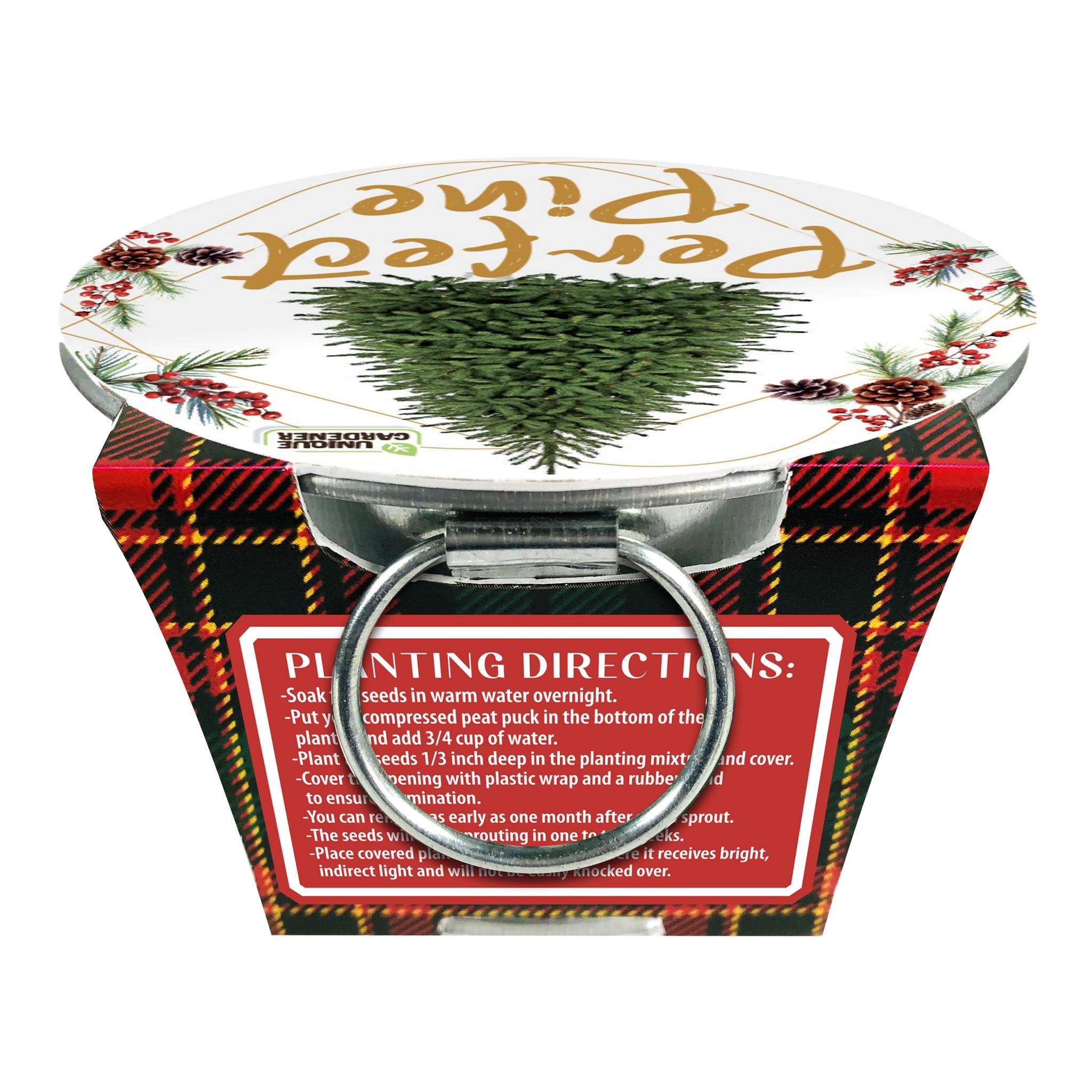 Perfect Pines Grow Your Own Christmas Tree