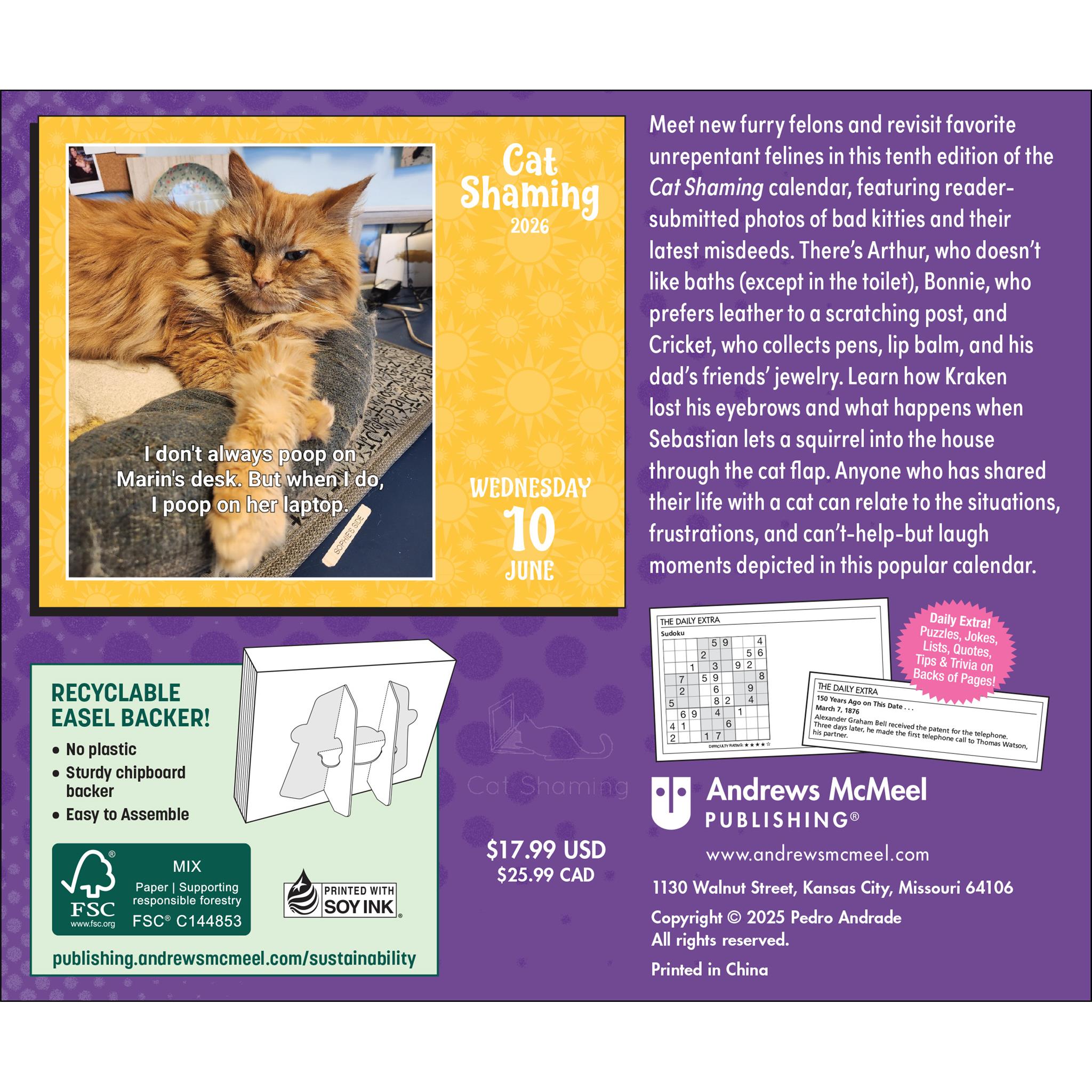 Cat Shaming 2026 Box Calendar