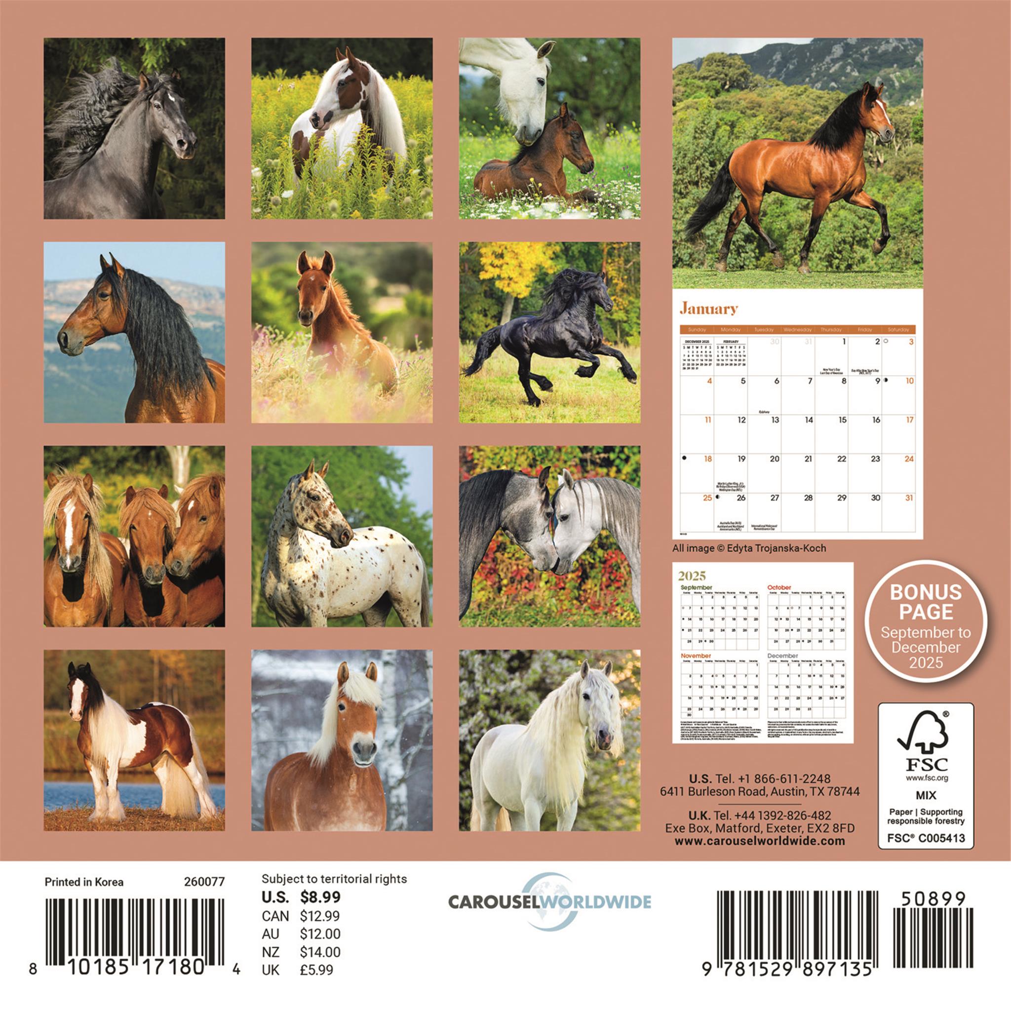 Horses 2026 Mini Calendar