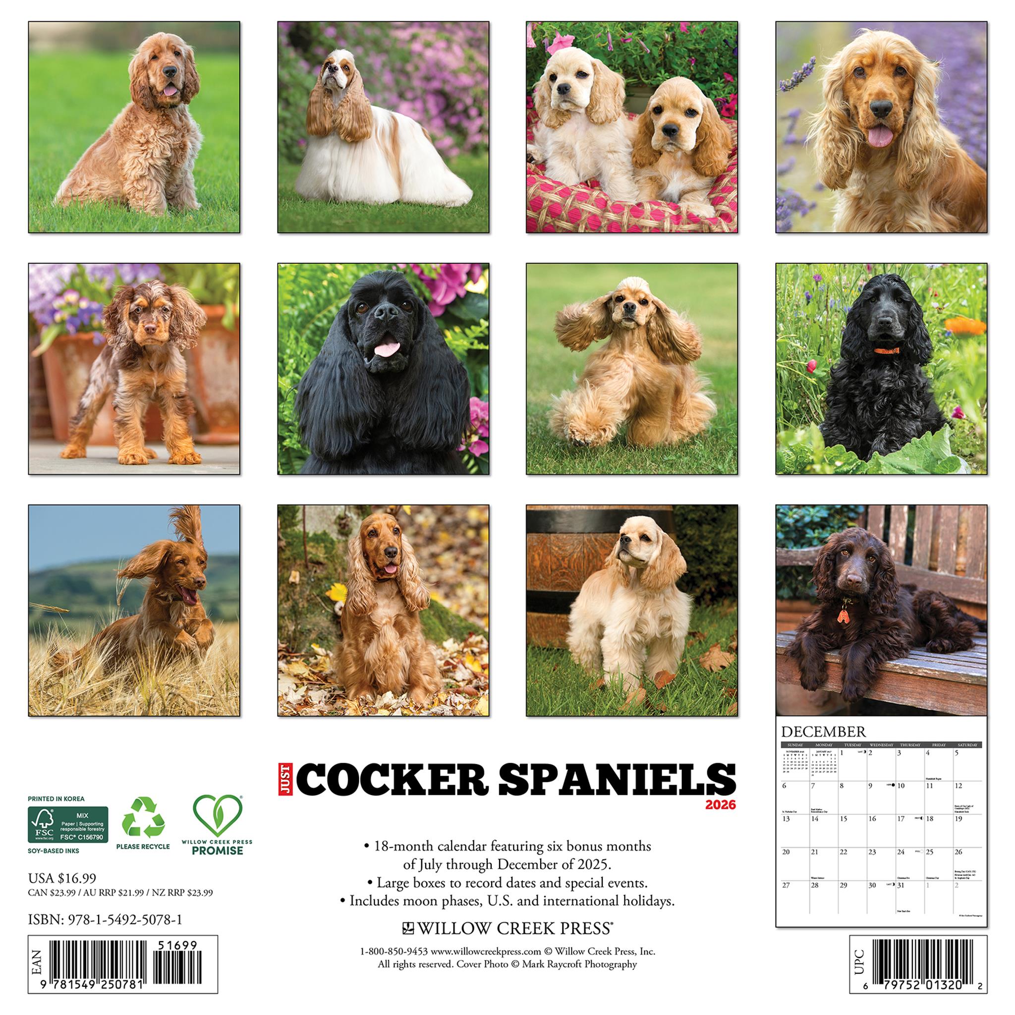 Just Cocker Spaniels 2026 Wall Calendar