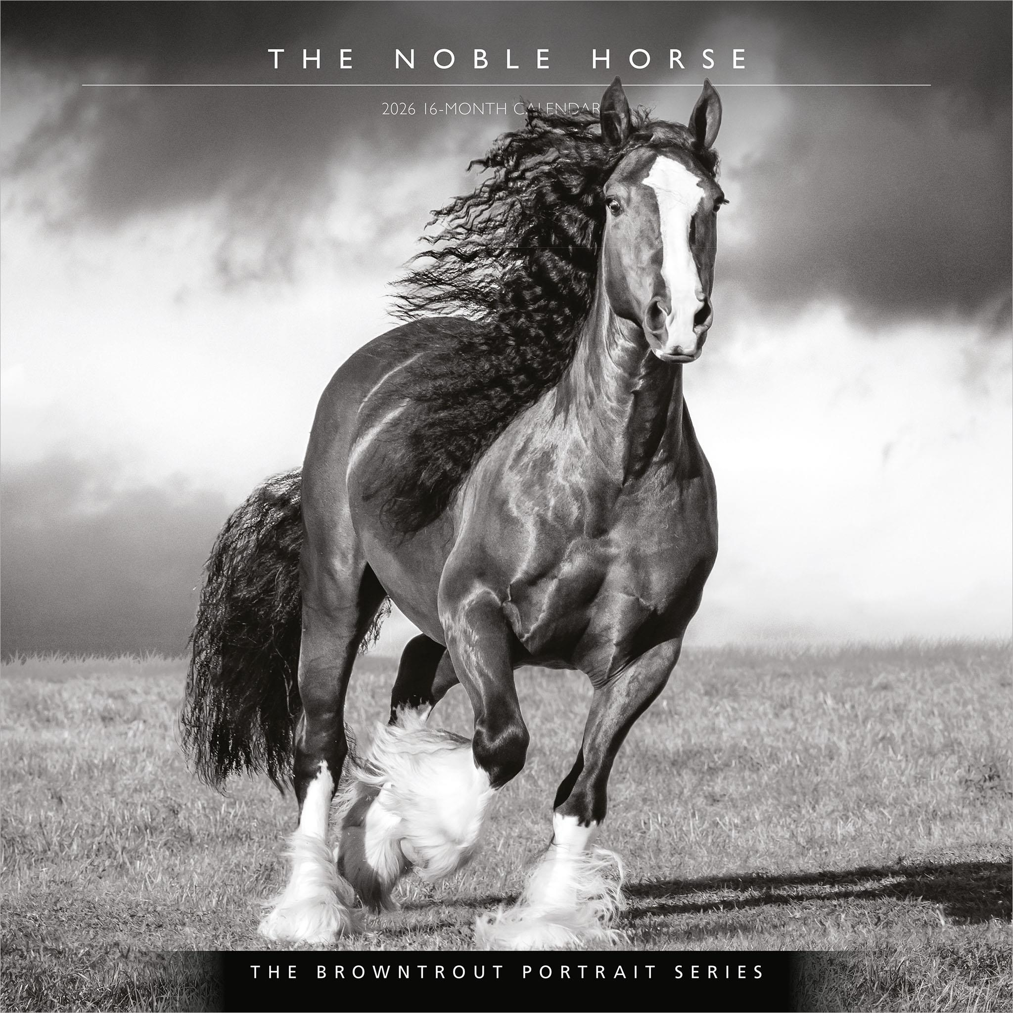 The Noble Horse 2026 Wall Calendar