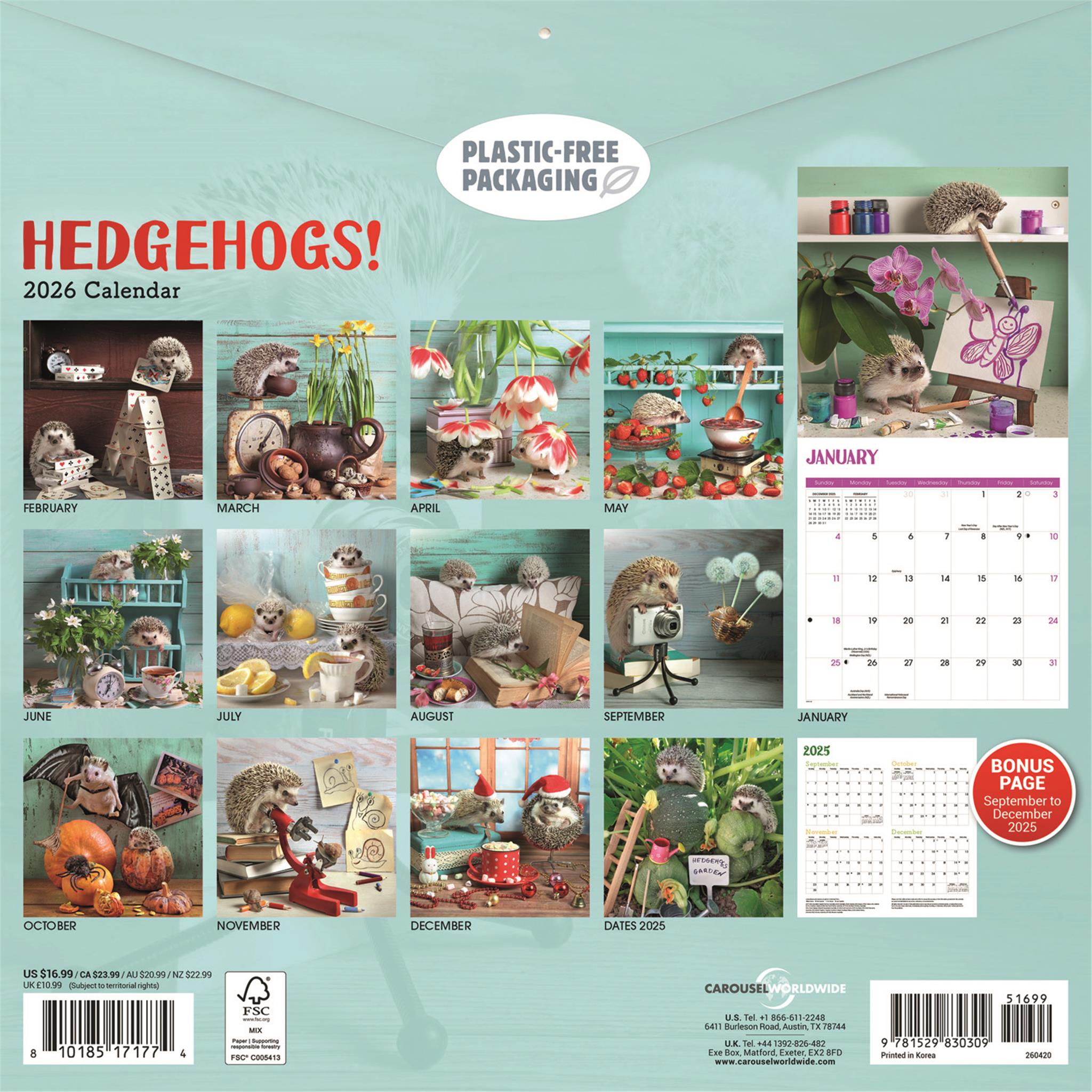 Hedgehogs 2026 Wall Calendar
