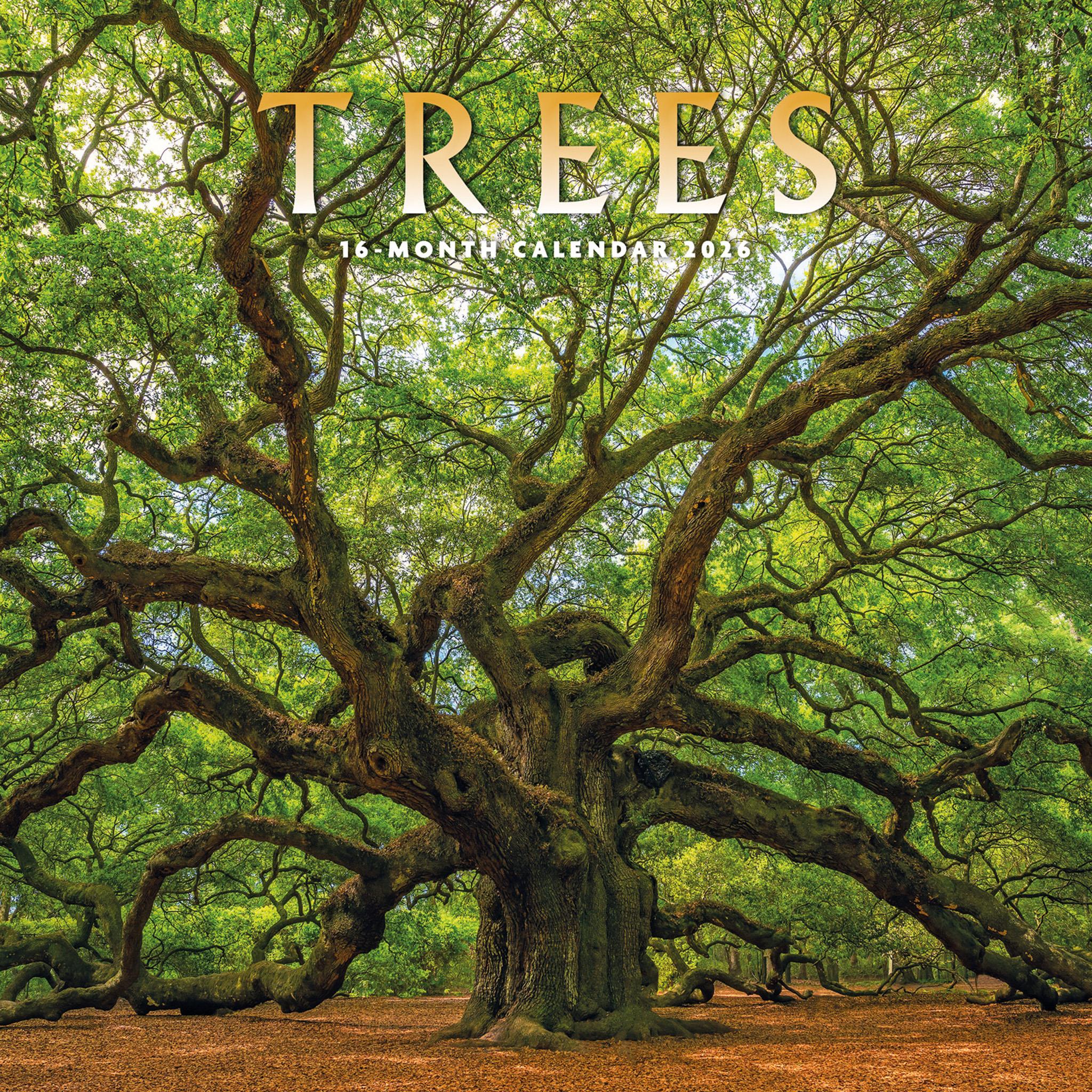 Trees 2026 Wall Calendar