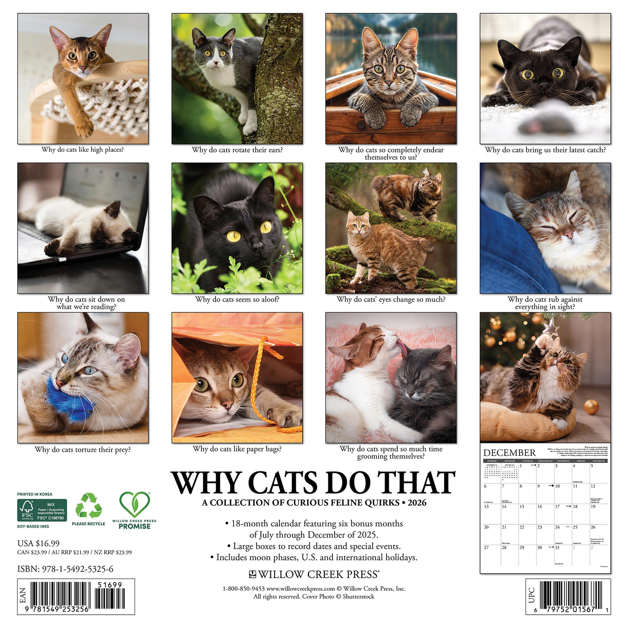 Why Cats Do That 2026 Wall Calendar